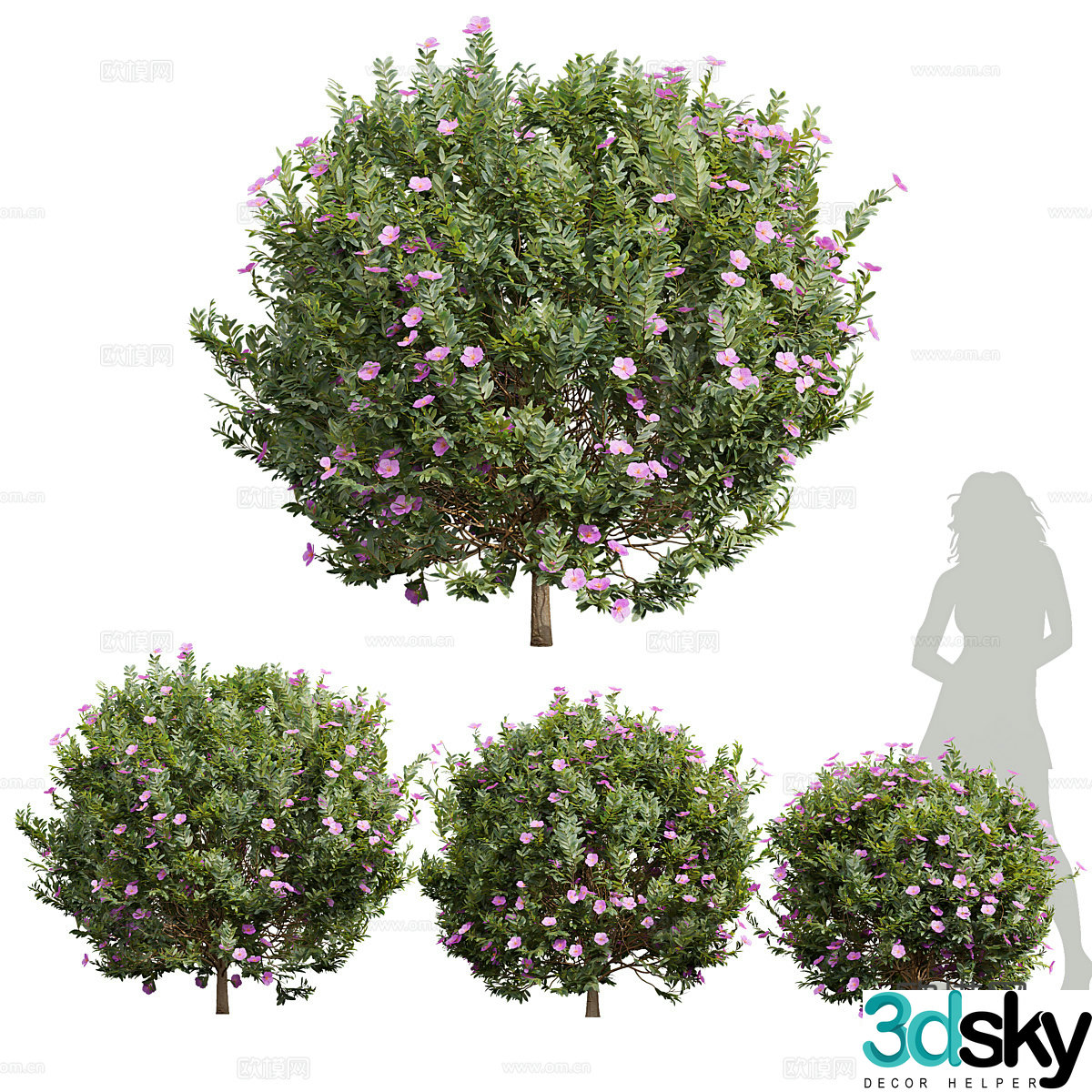 Rose Tree 3D Model