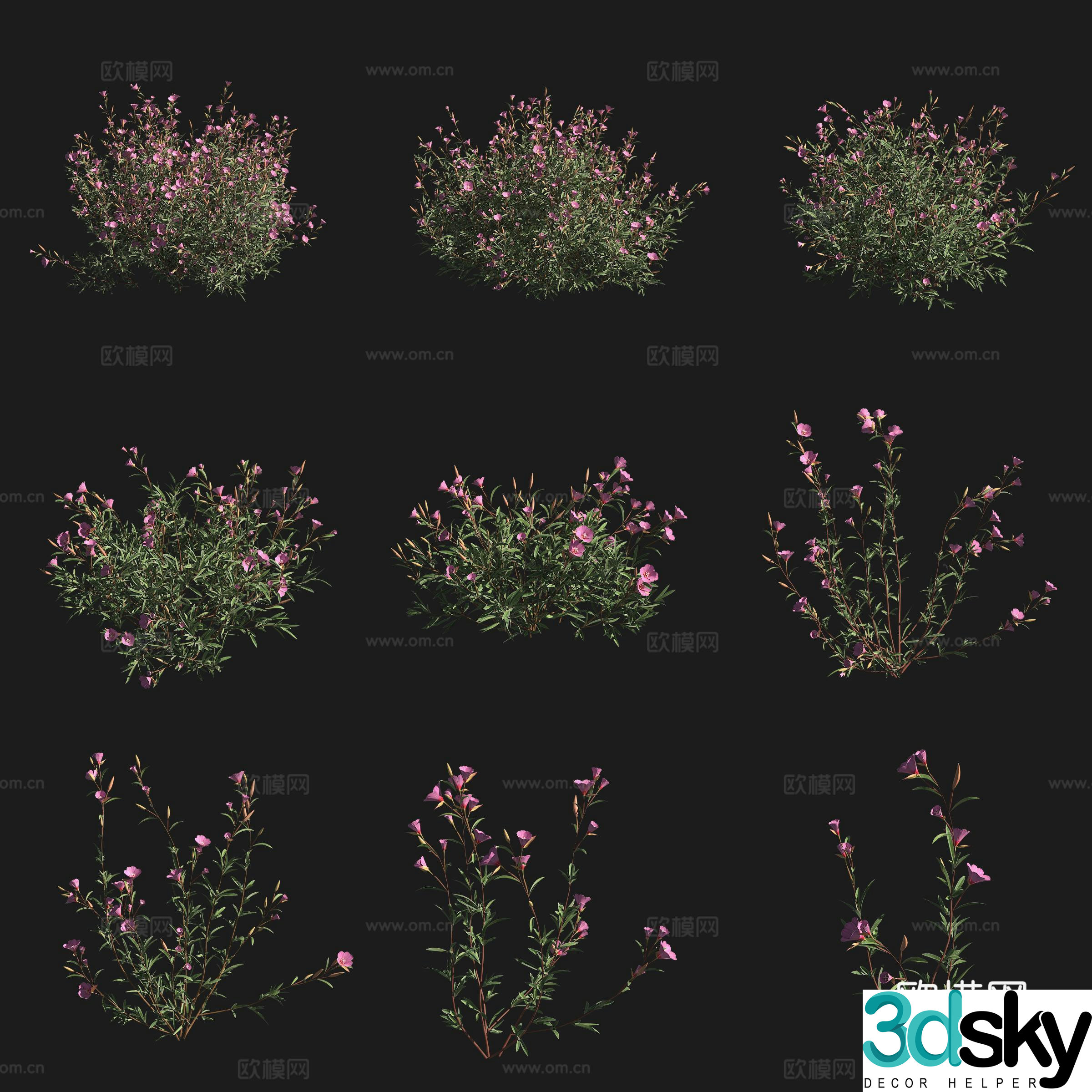 Farewell to spring shrubs flowers plants grassland plants 3d model