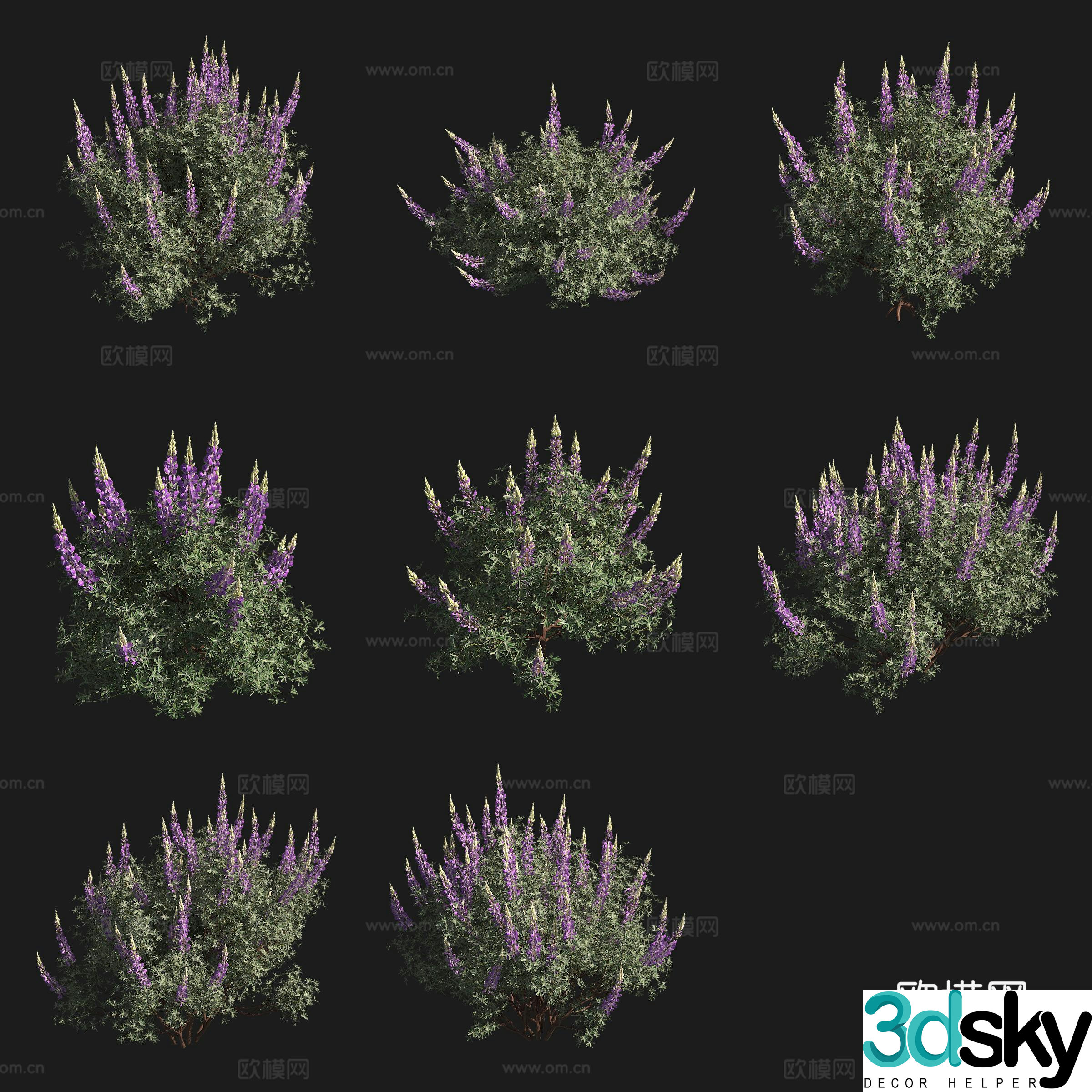 Silver lupin shrub flowers and plants grass plants 3d model