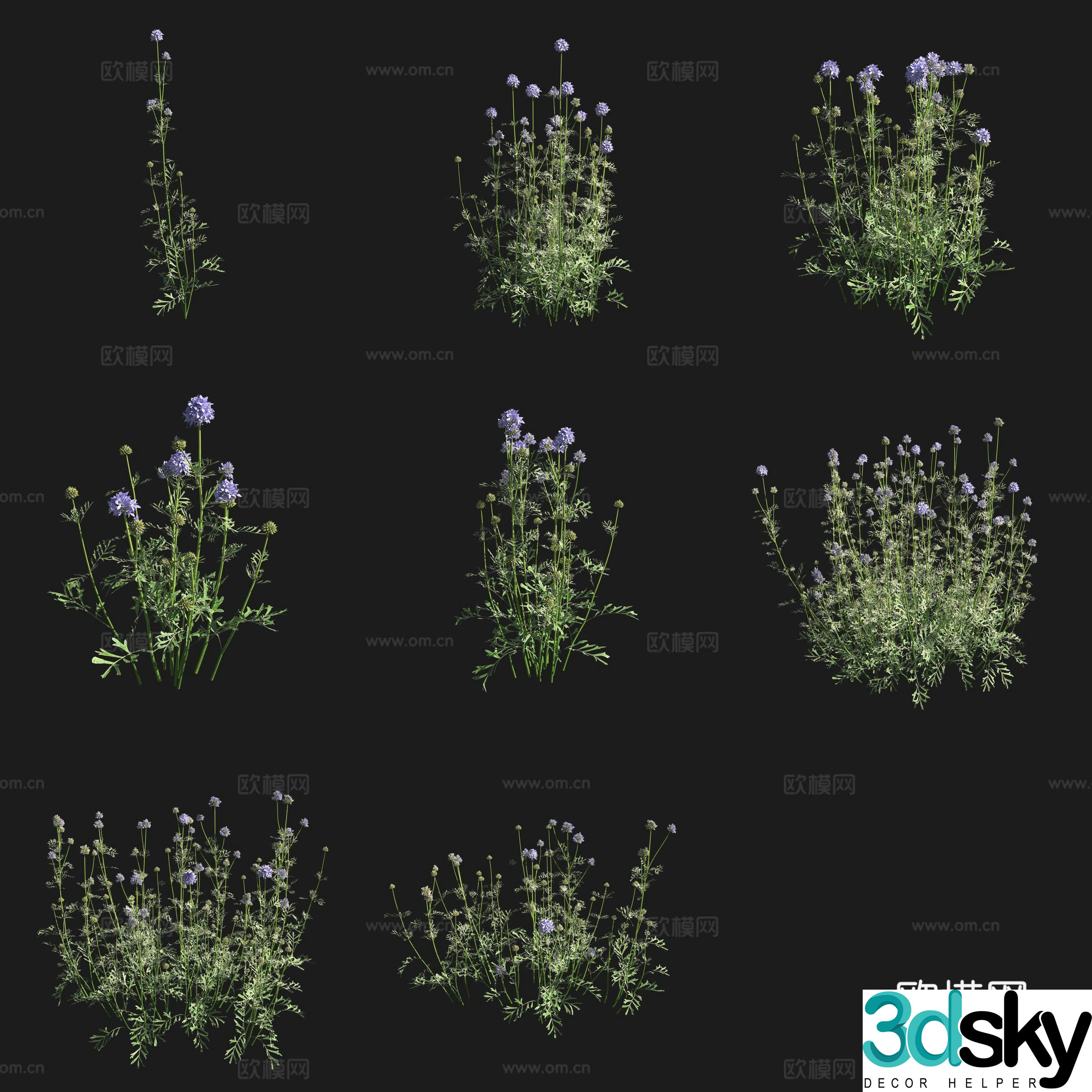 Ball Geely Flowers Grassland Plants 3D Model