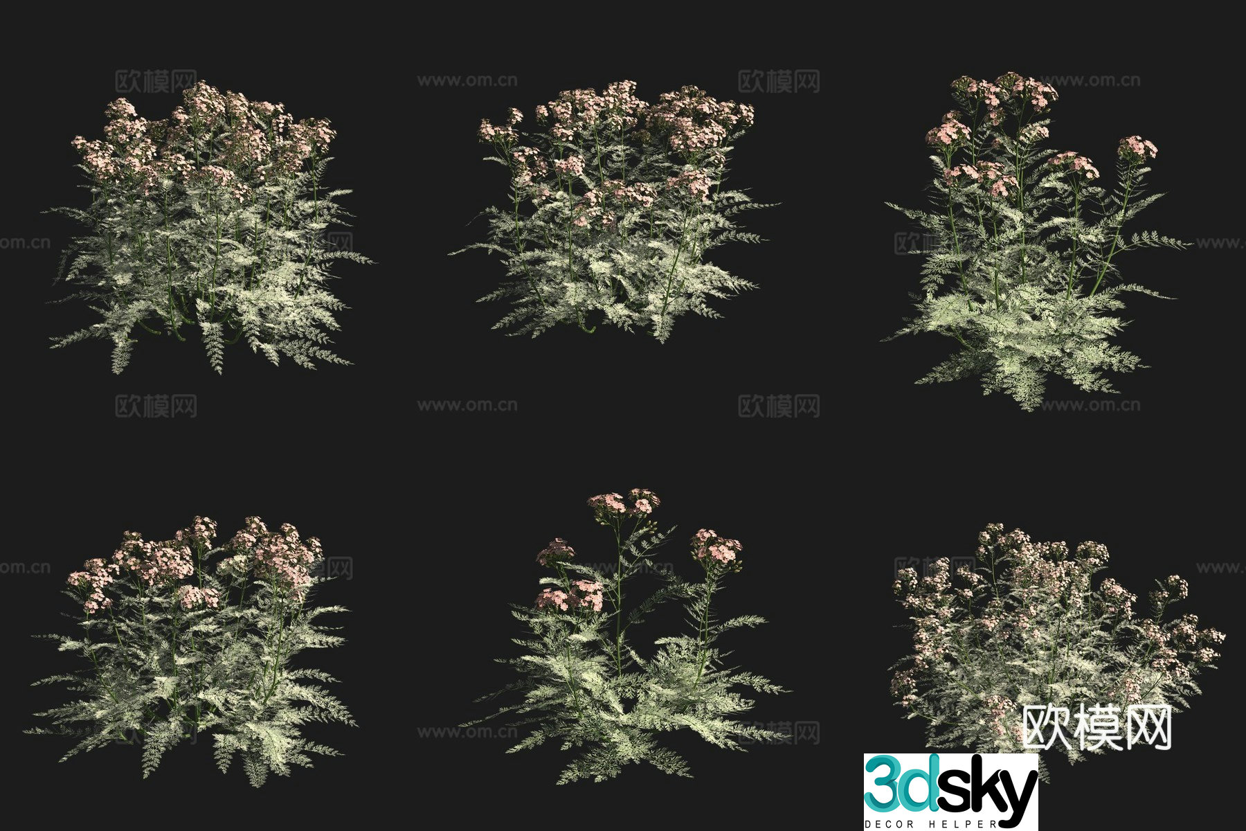 3D model of yarrow flowers and plants in the grassland