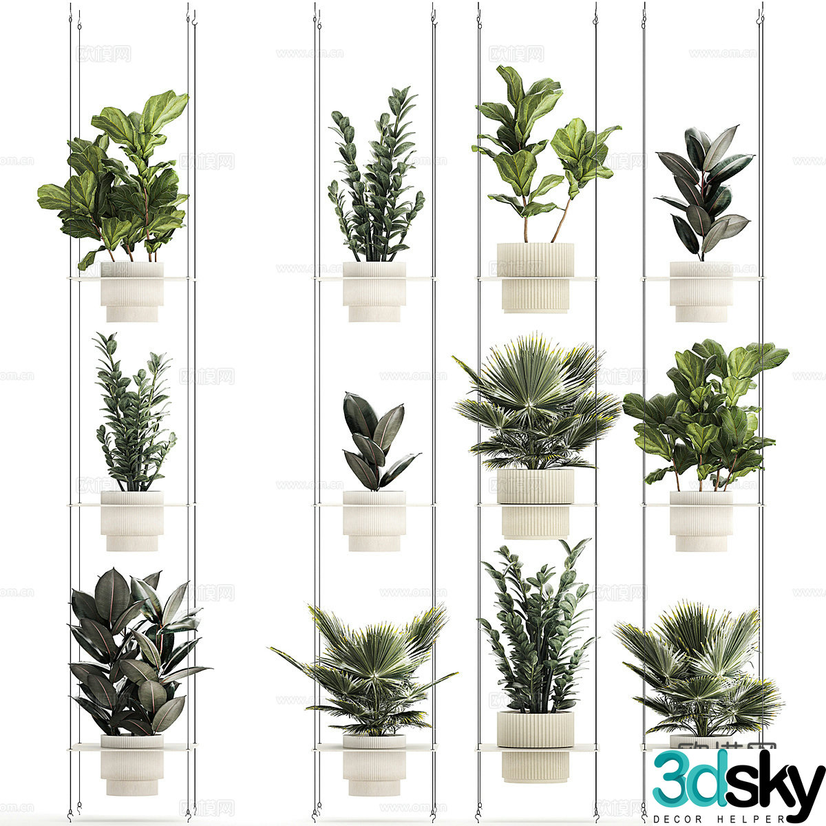 Plant Collection 14293d Model
