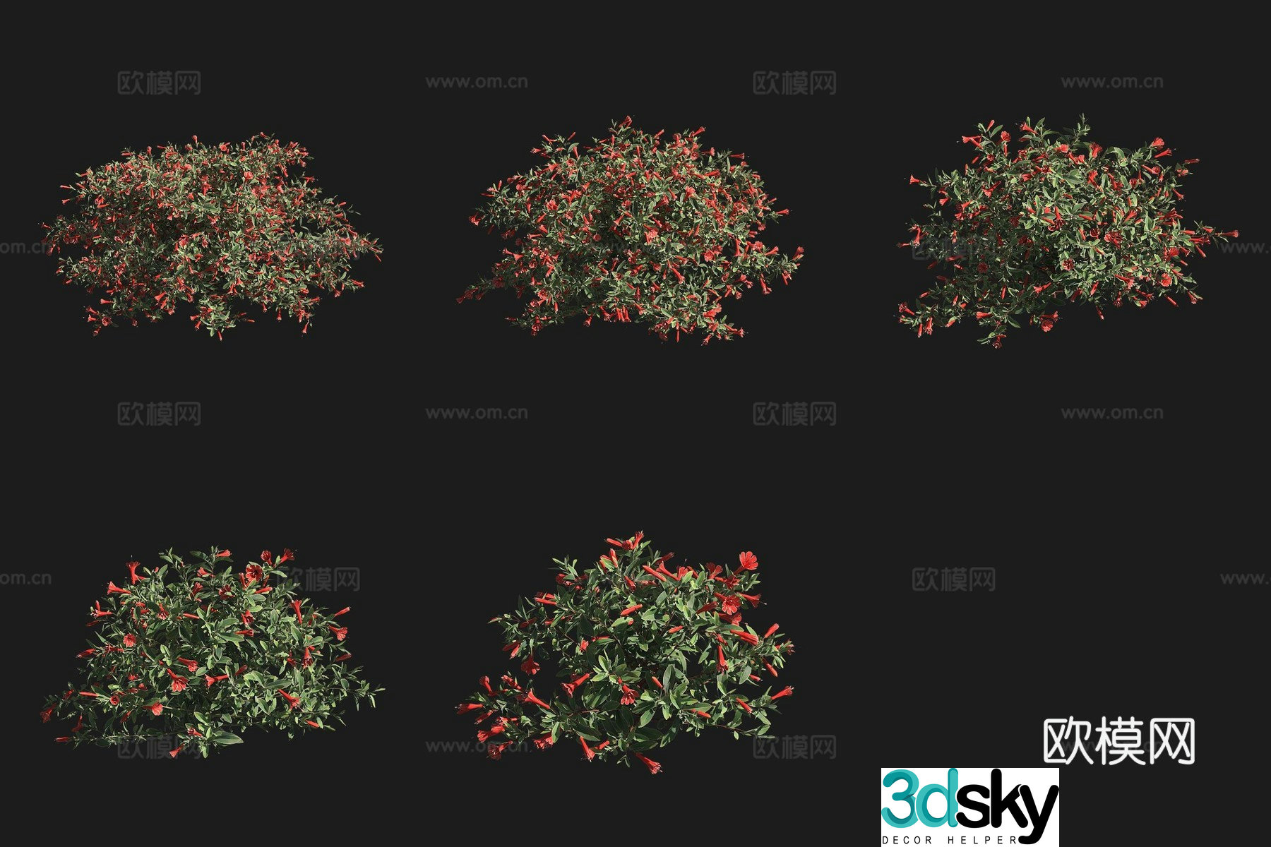 California fuchsia shrub flowers and plants grass plants 3D model