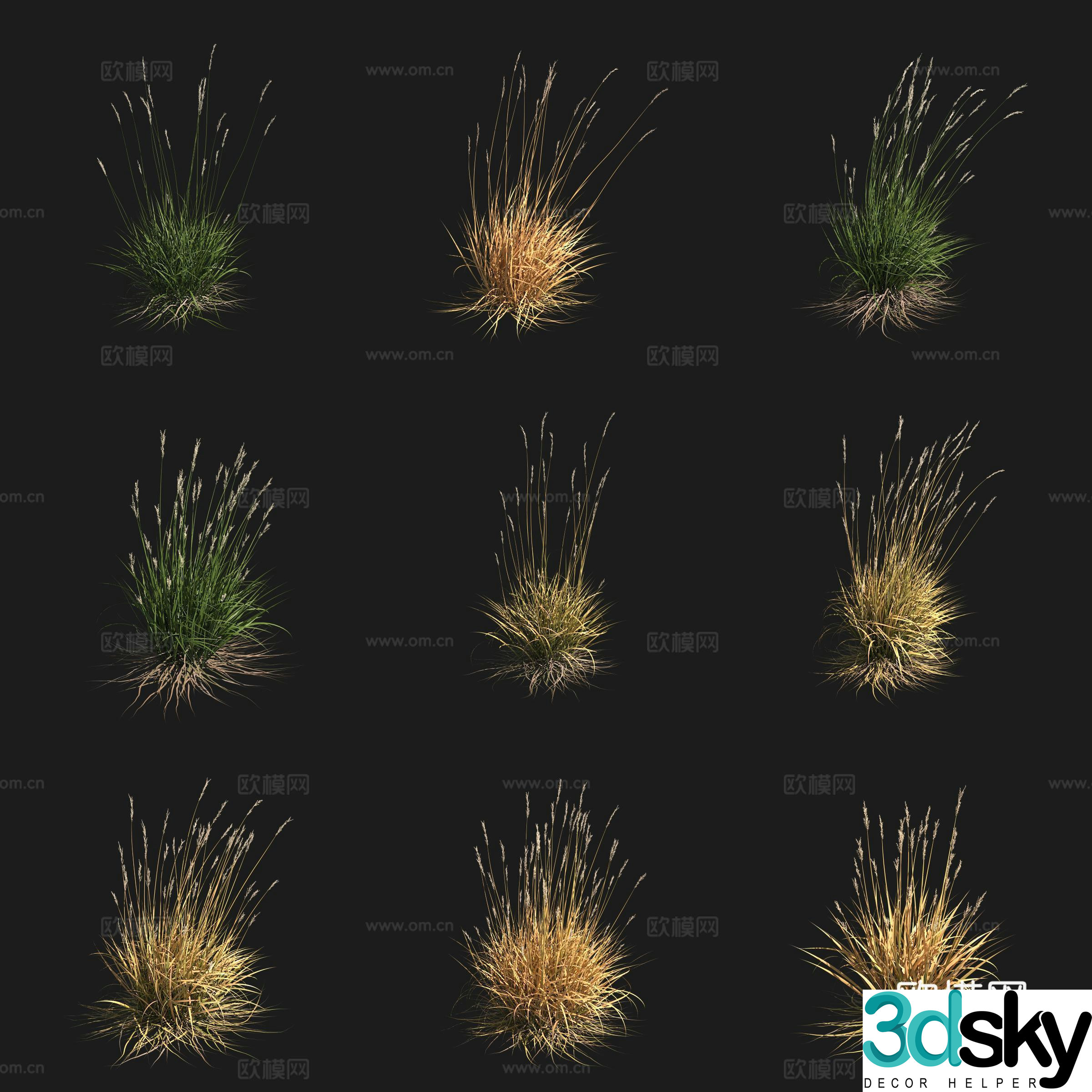 California stinky grass shrub flowers grass grass plant 3d model
