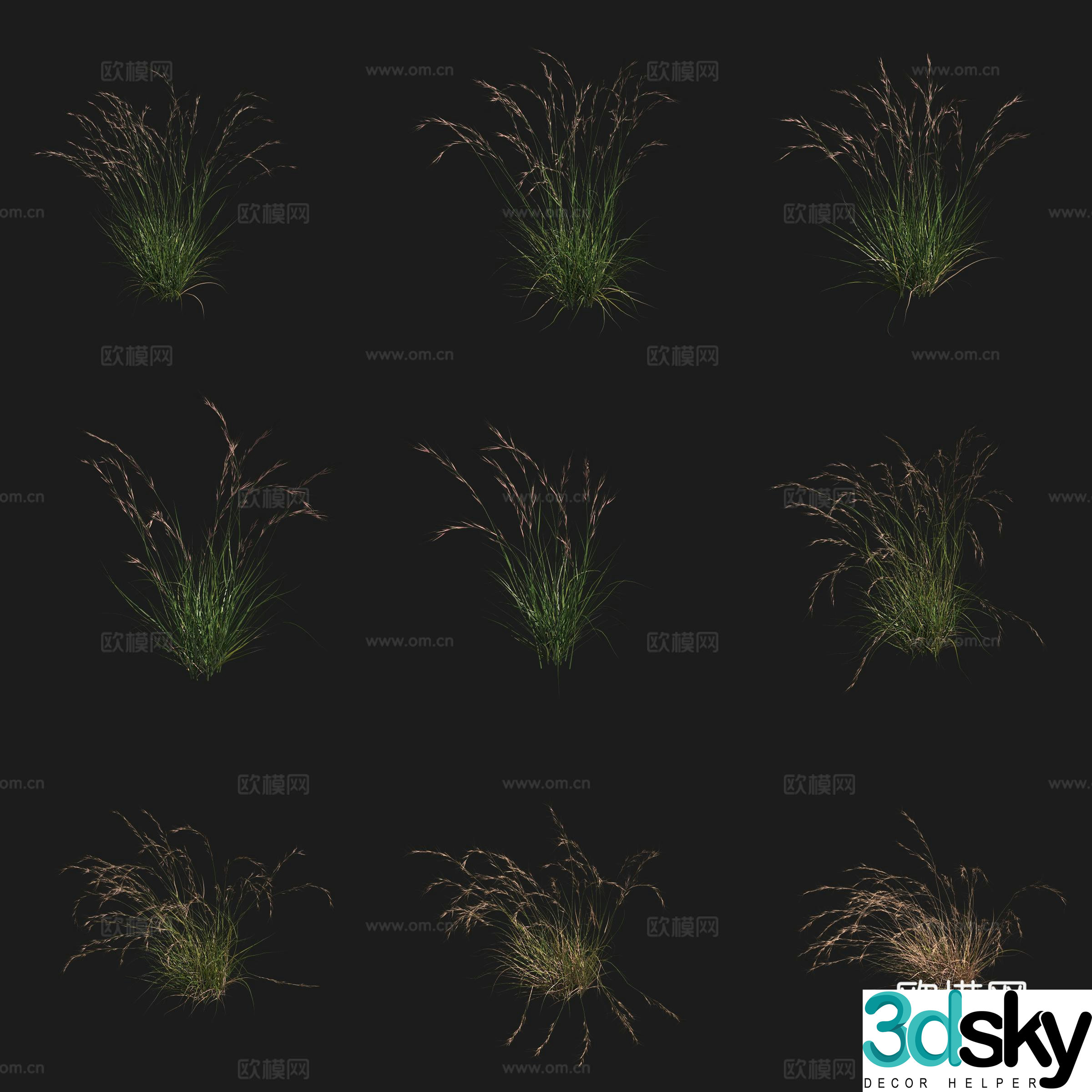Purple three-mist grass purple red-mist shrub flowers and plants grass field plants 3D model