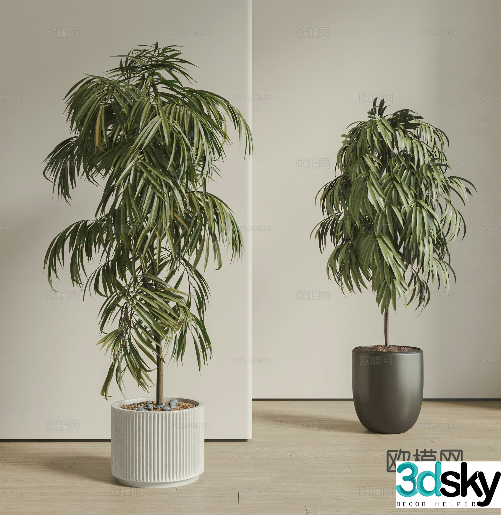 Modern potted plant combination ground-based plants green plants potted plants bonsai long-leaf bamboo and cypress 3D model