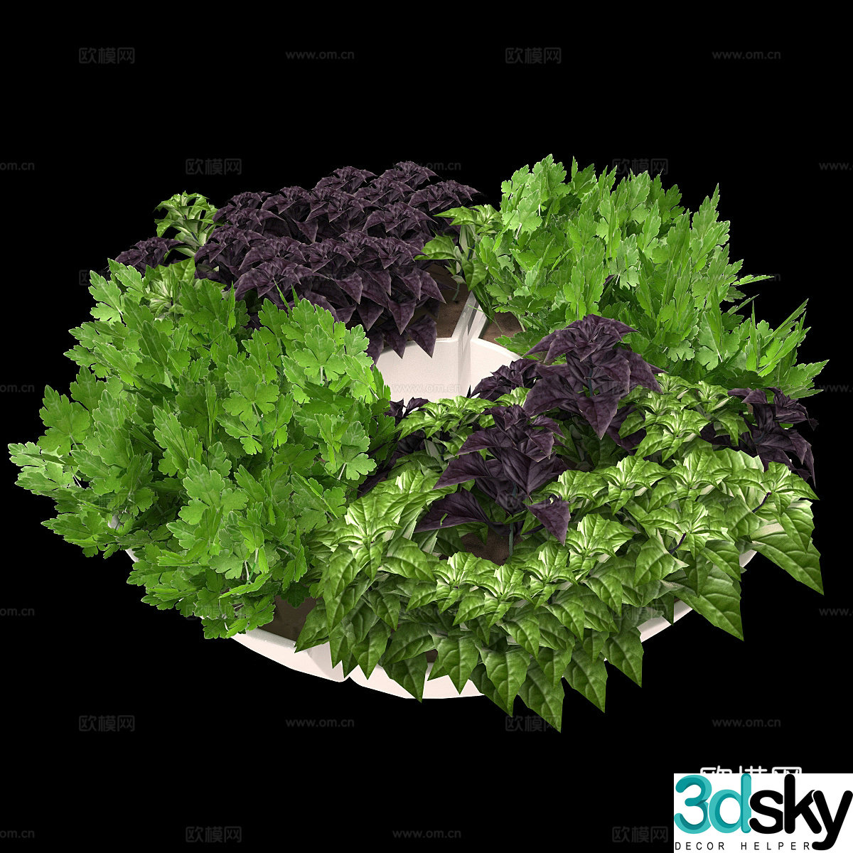 Green plant flower pot 3d model