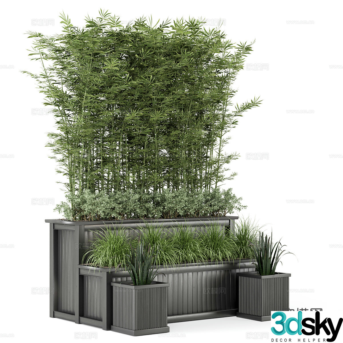 Bamboo potted plant flower pot plant tree outdoor plant bamboo 3d model