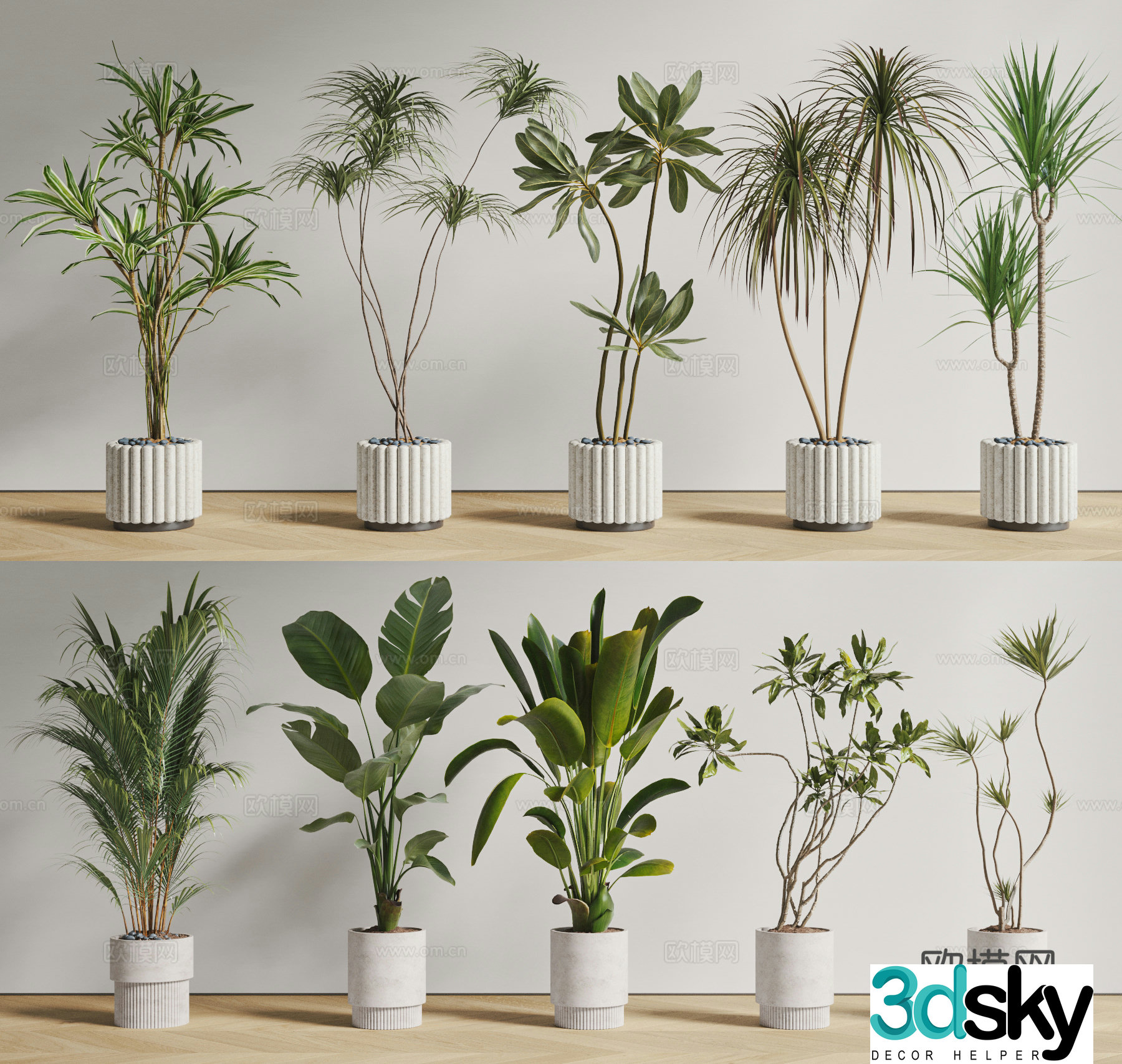 Modern potted bonsai potted green plants floor green plants dragon beard tree iron tree rubber tree 3d model