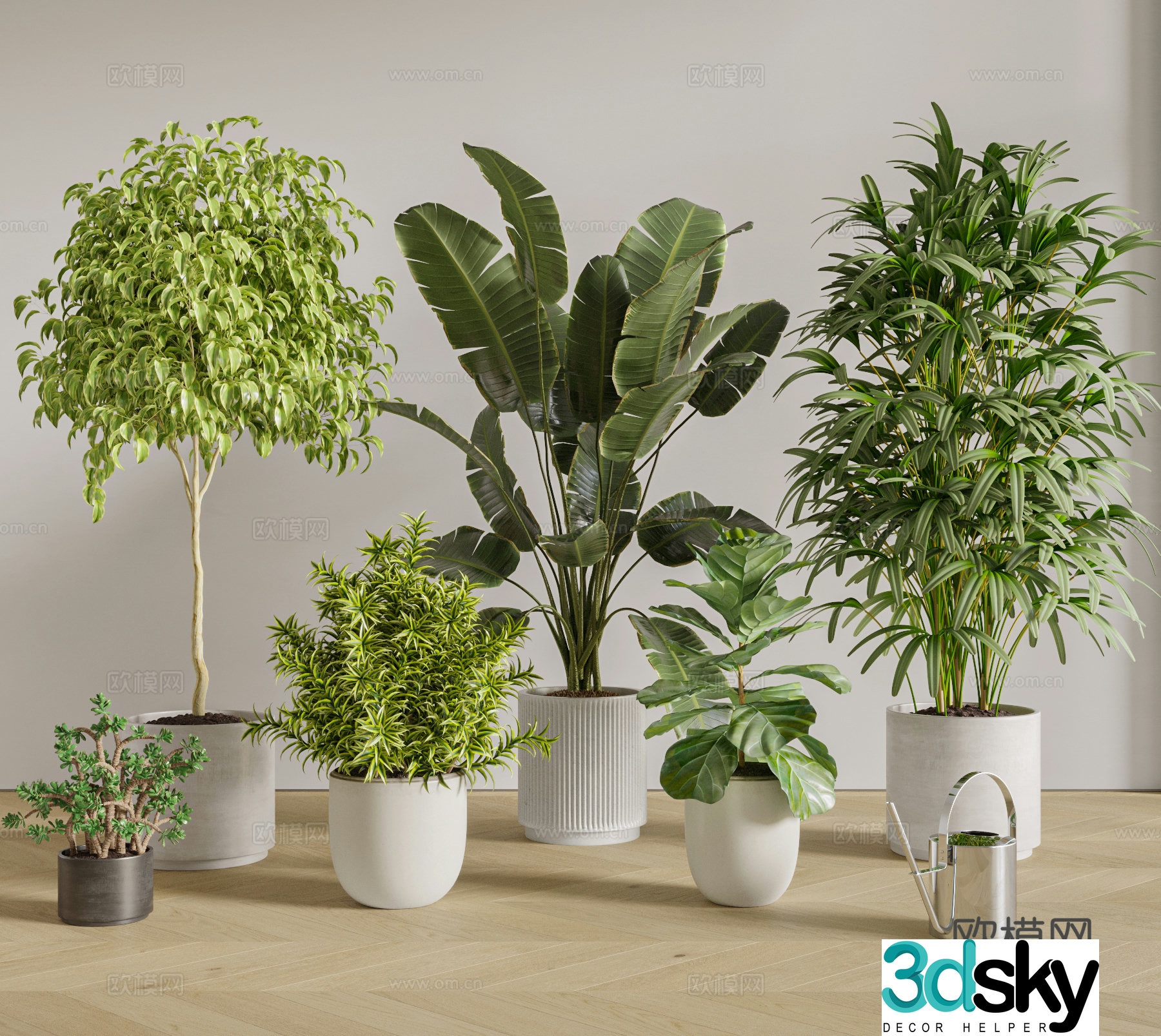 Modern potted plants 3D model