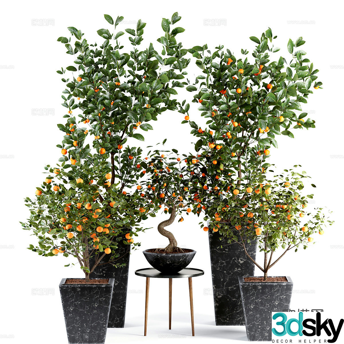 Orange tree potted plant 3d model