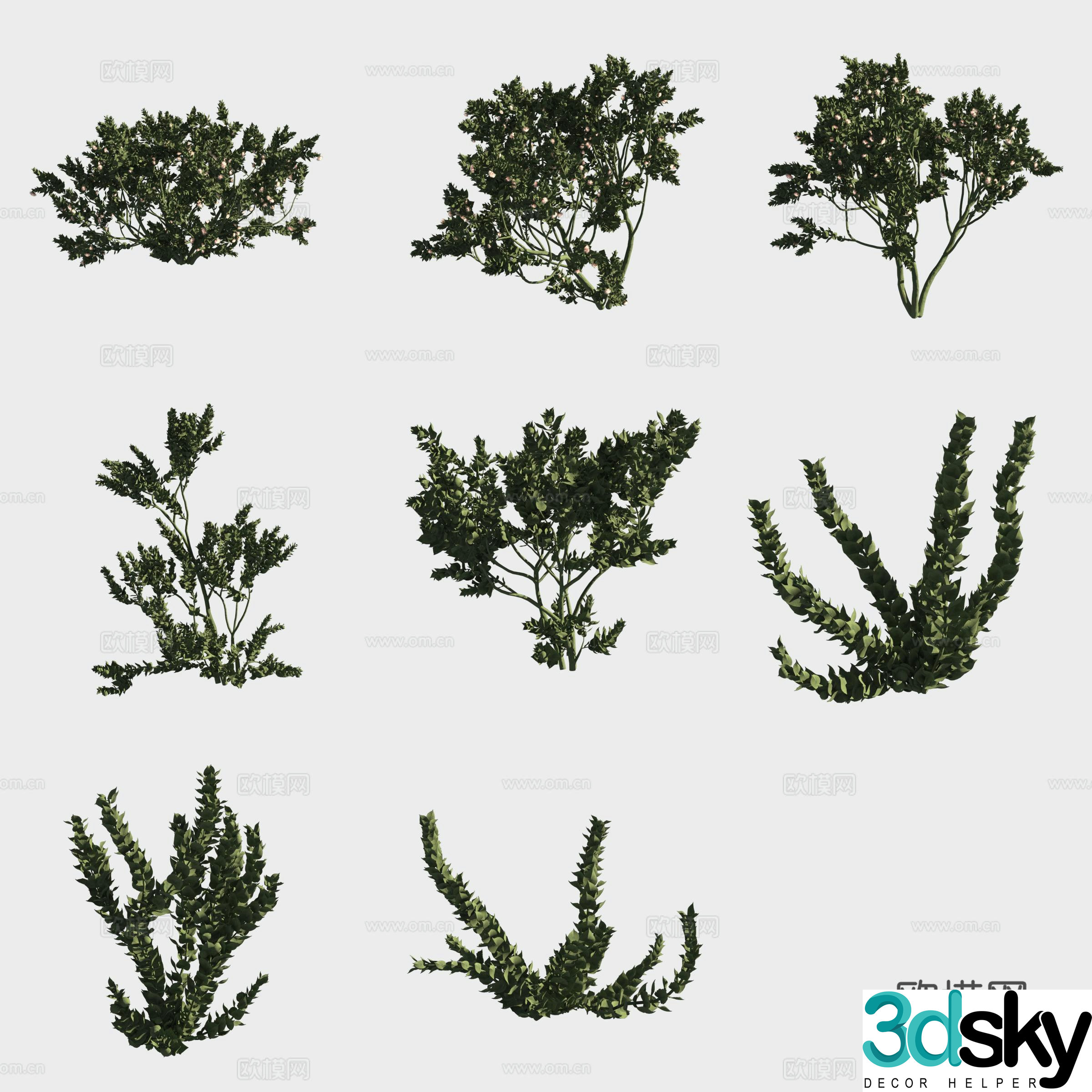 Big red flower eucalyptus small trees forest 3d model