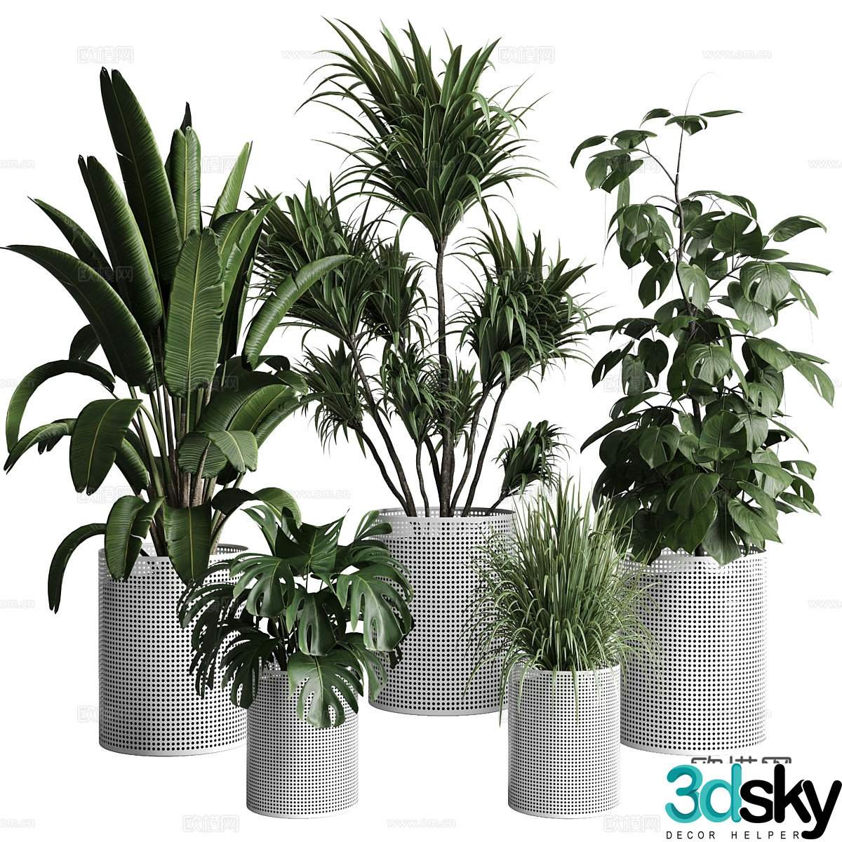 Modern green plant potted 3D model