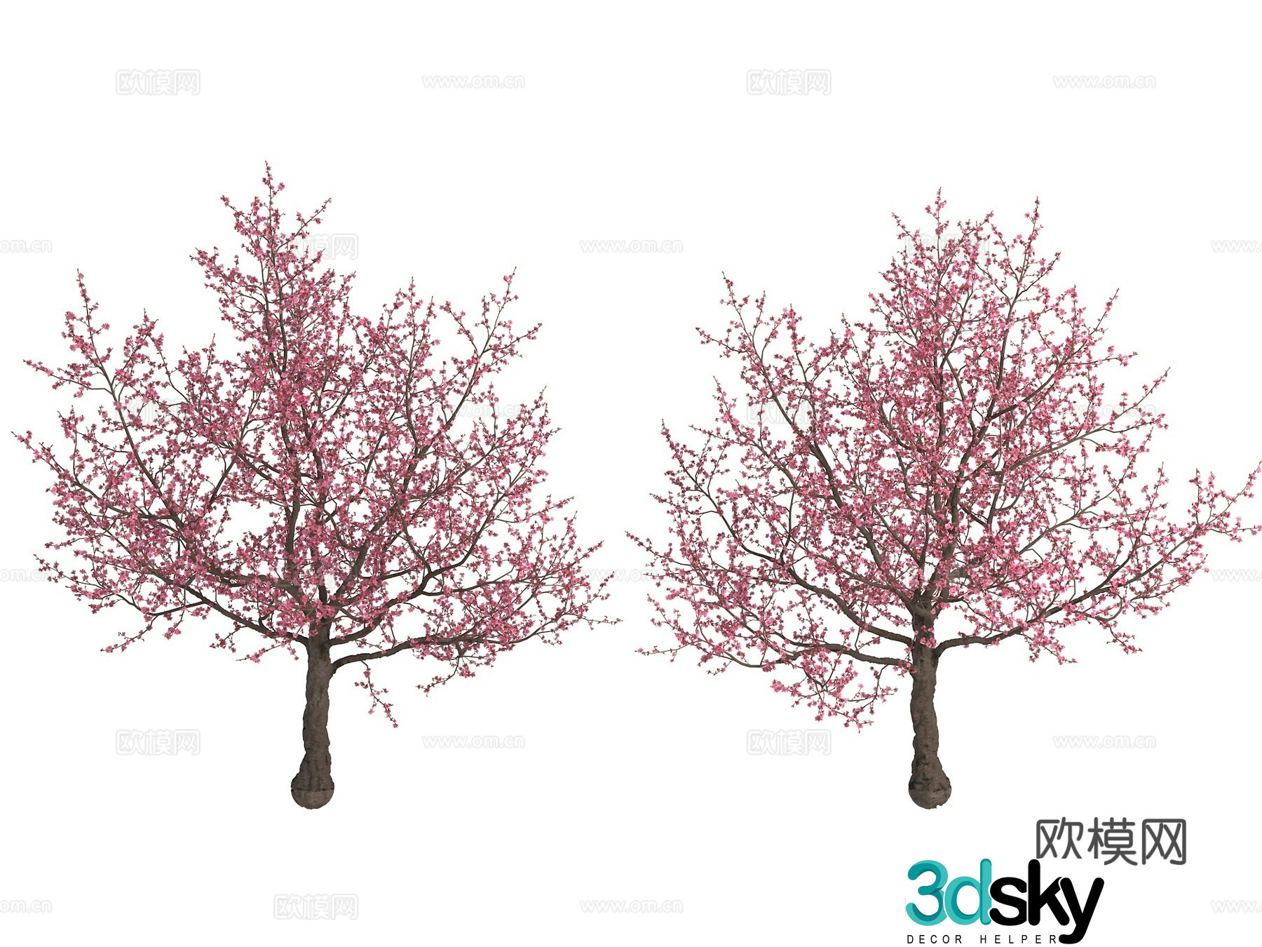 Peach tree peach tree plum blossom cherry blossom plant pink tree 3d model