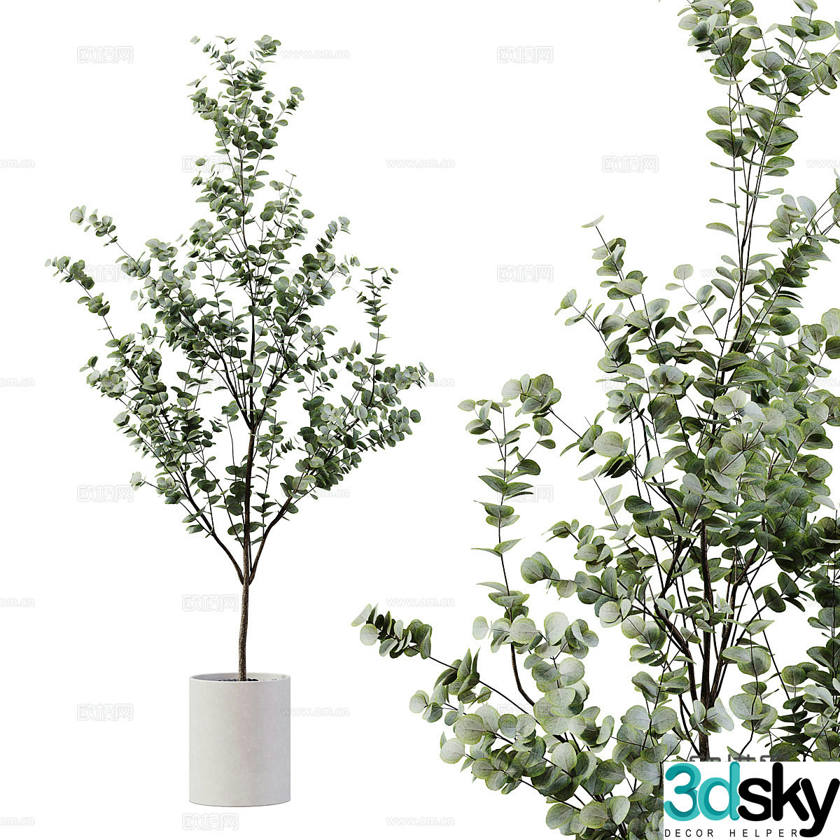 Modern green plant potted 3D model