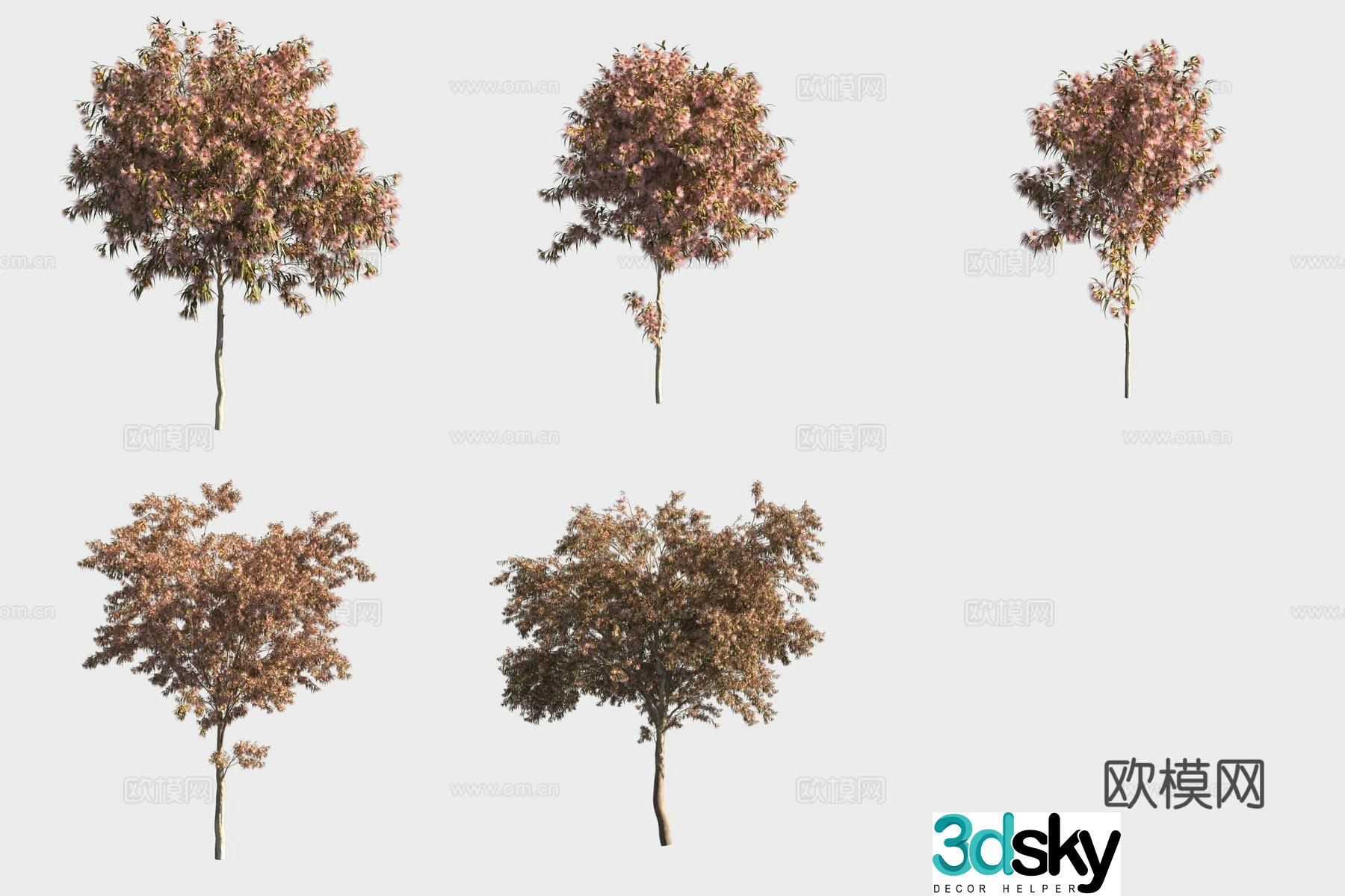 White wood eucalyptus tree forest 3d model