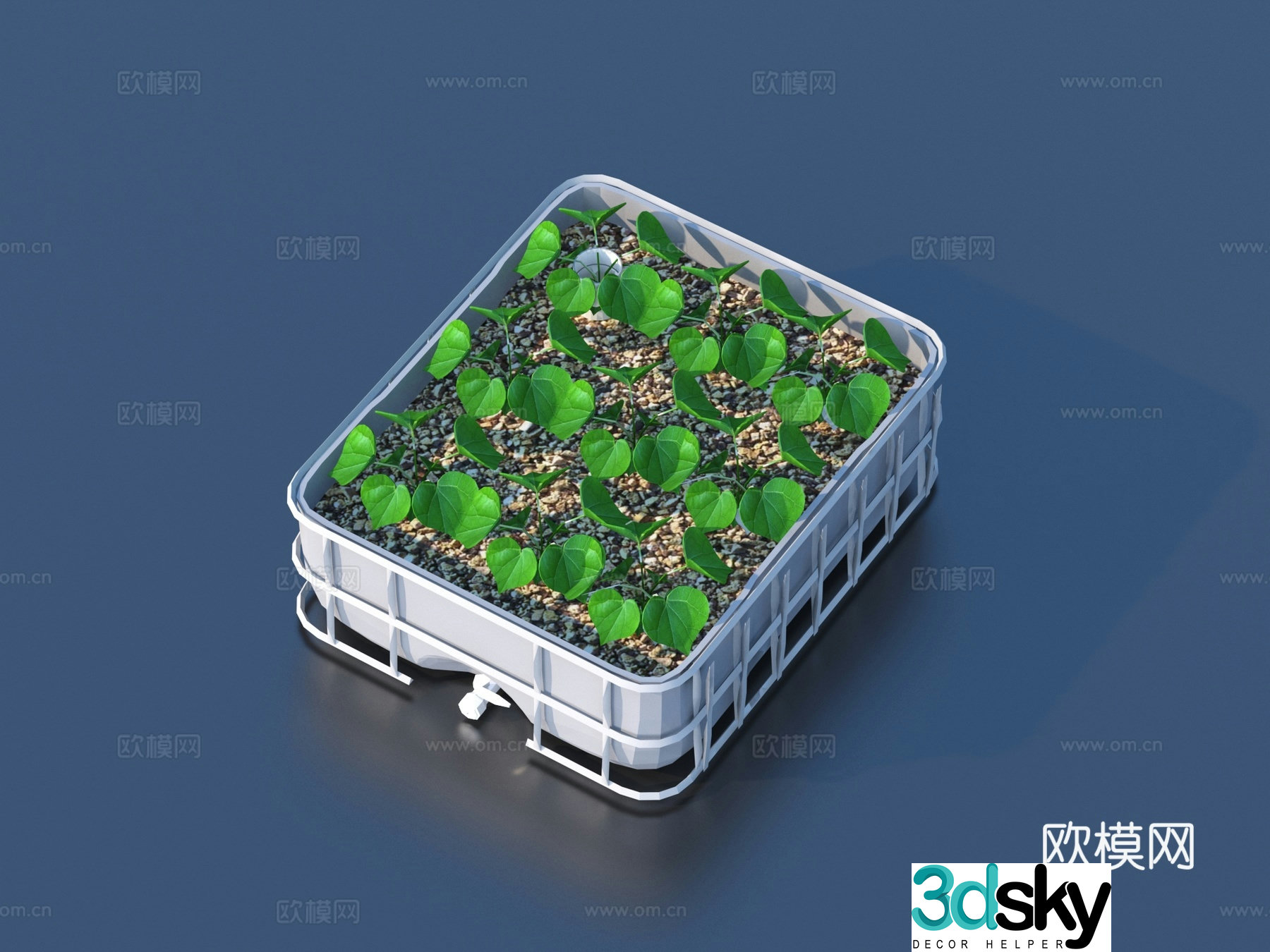 Vegetables potted plants houseplants green plants 3D model