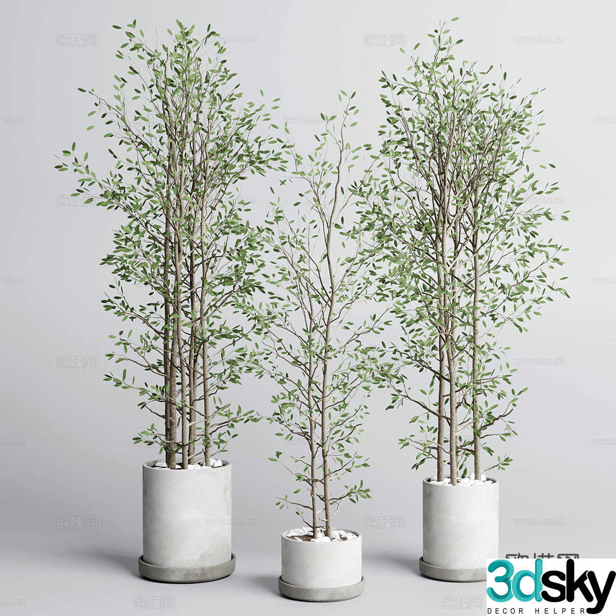 New Chinese style wasabi green plant potted 3D model