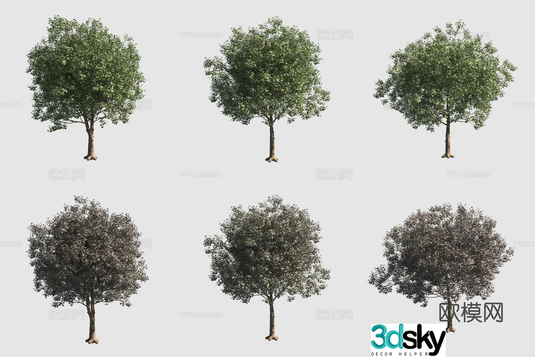 Golden leaf maple golden leaf maple street tree 3d model