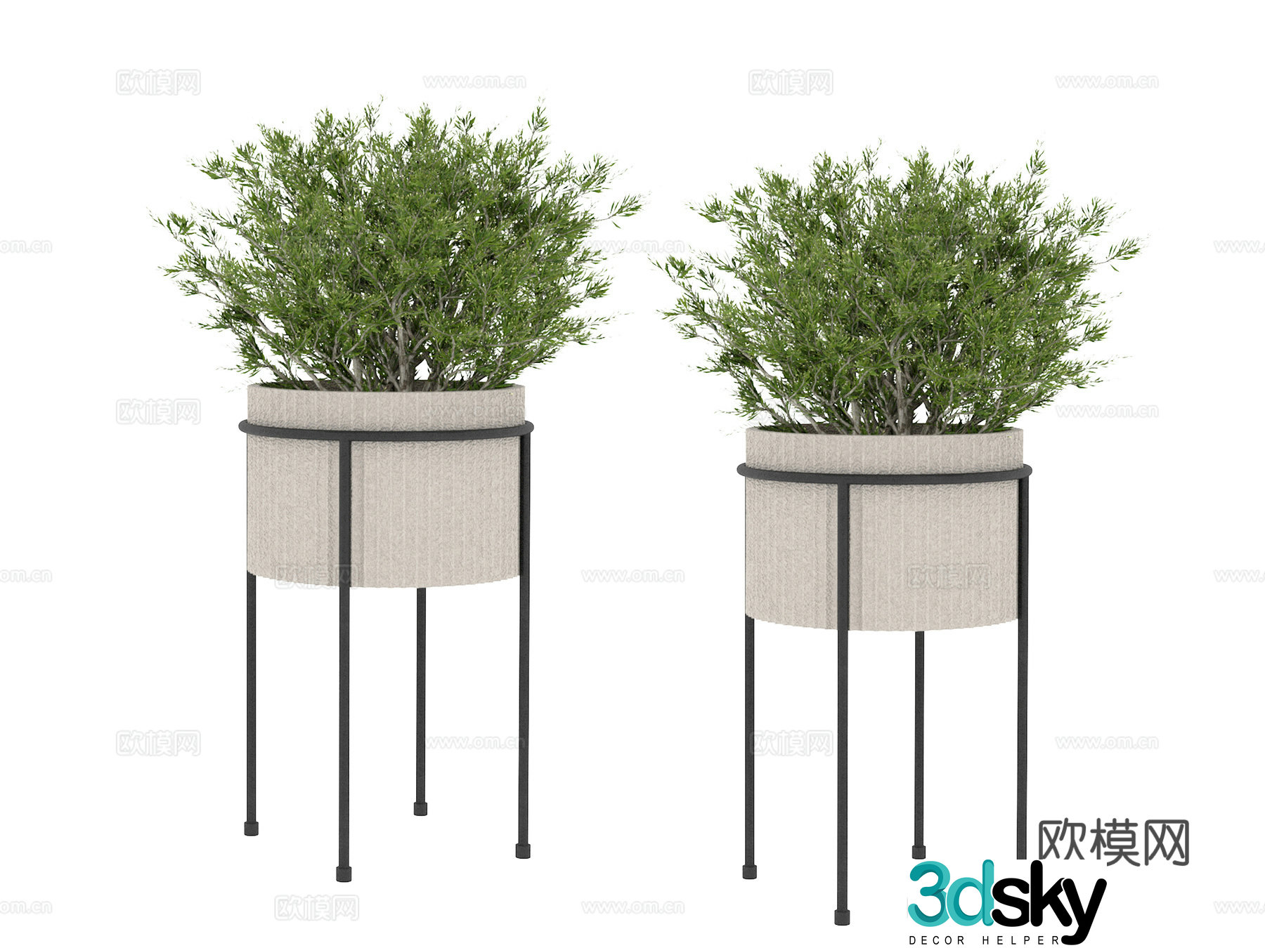 Plant Potted Tree 3D Model