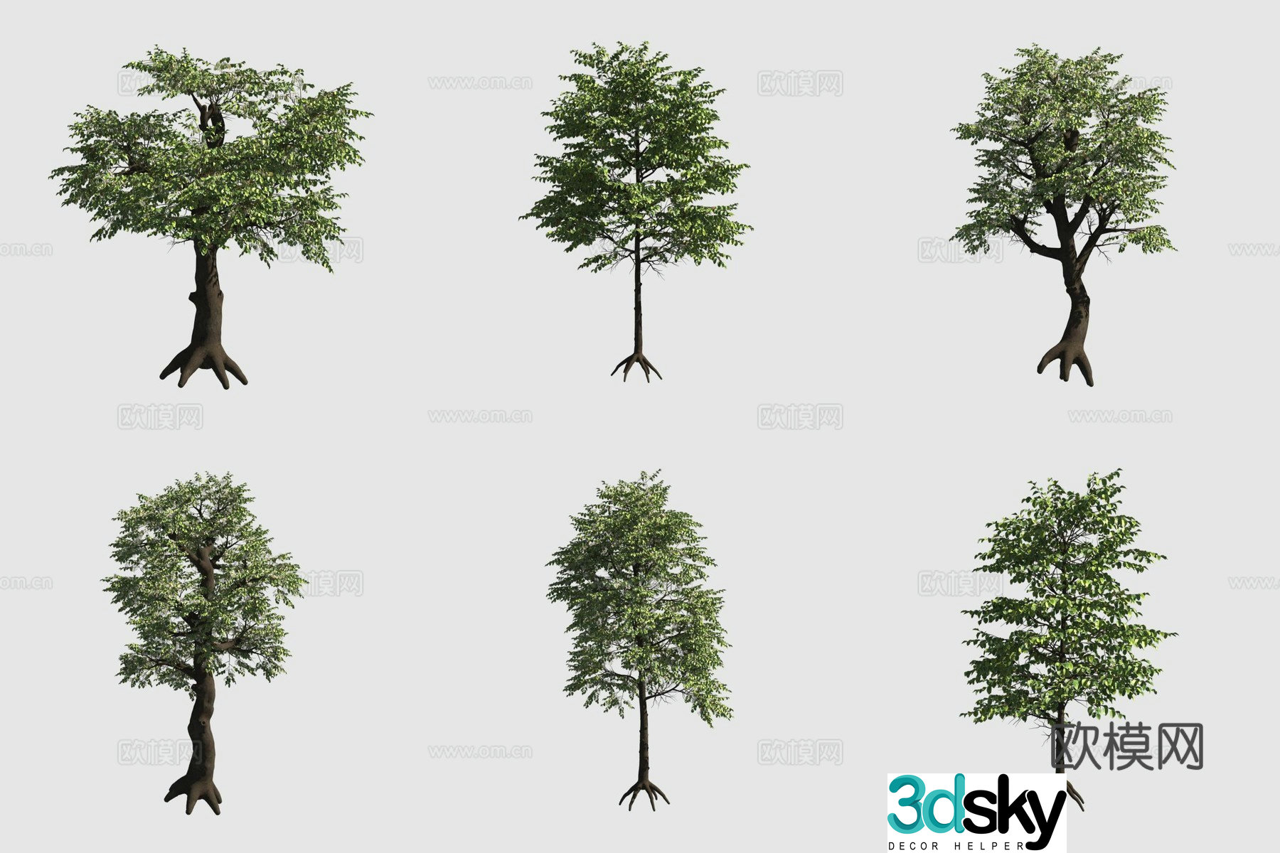 3D model of Luoshi Sala double tree street