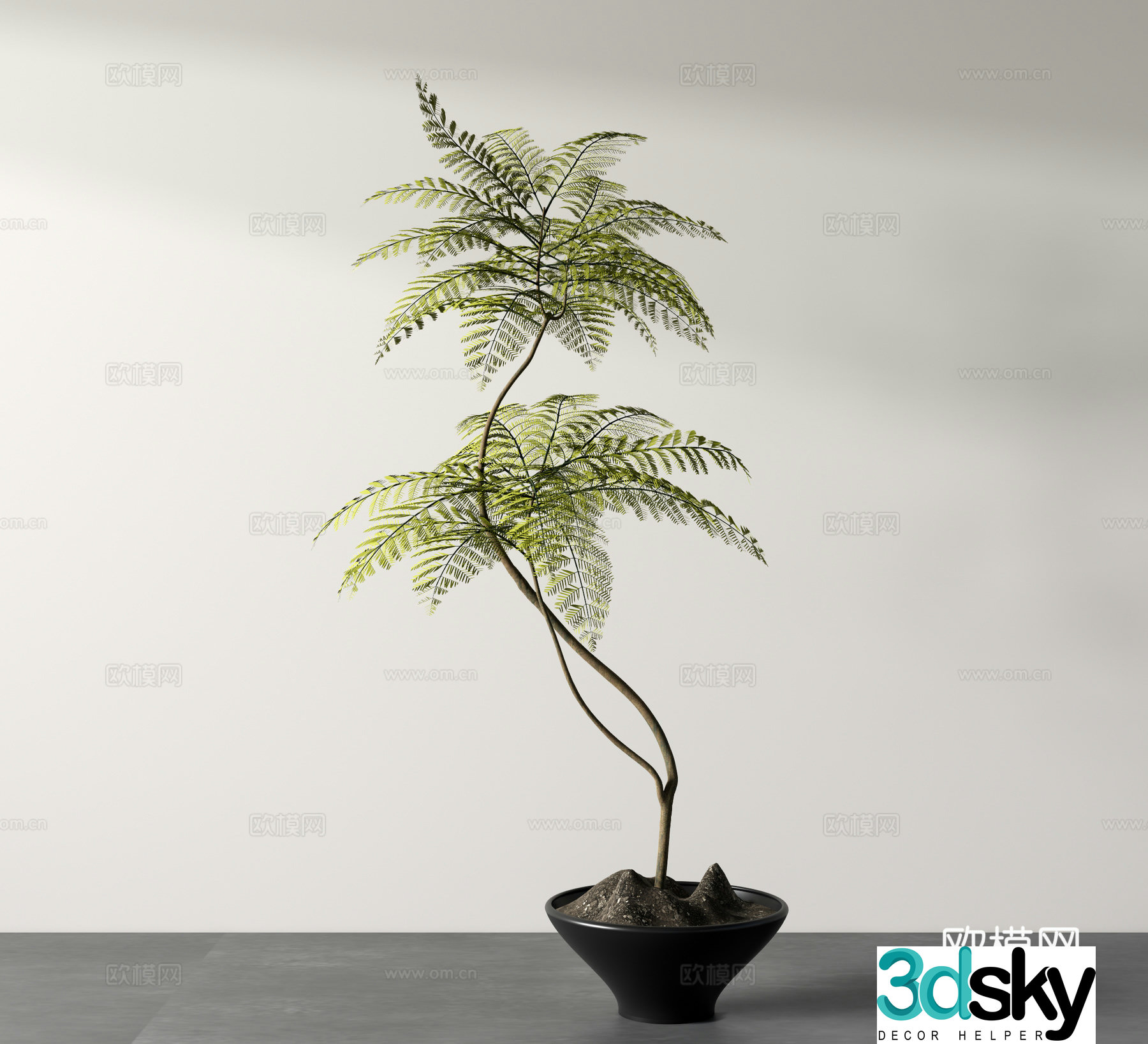 Potted plant green plant ornaments 3D model
