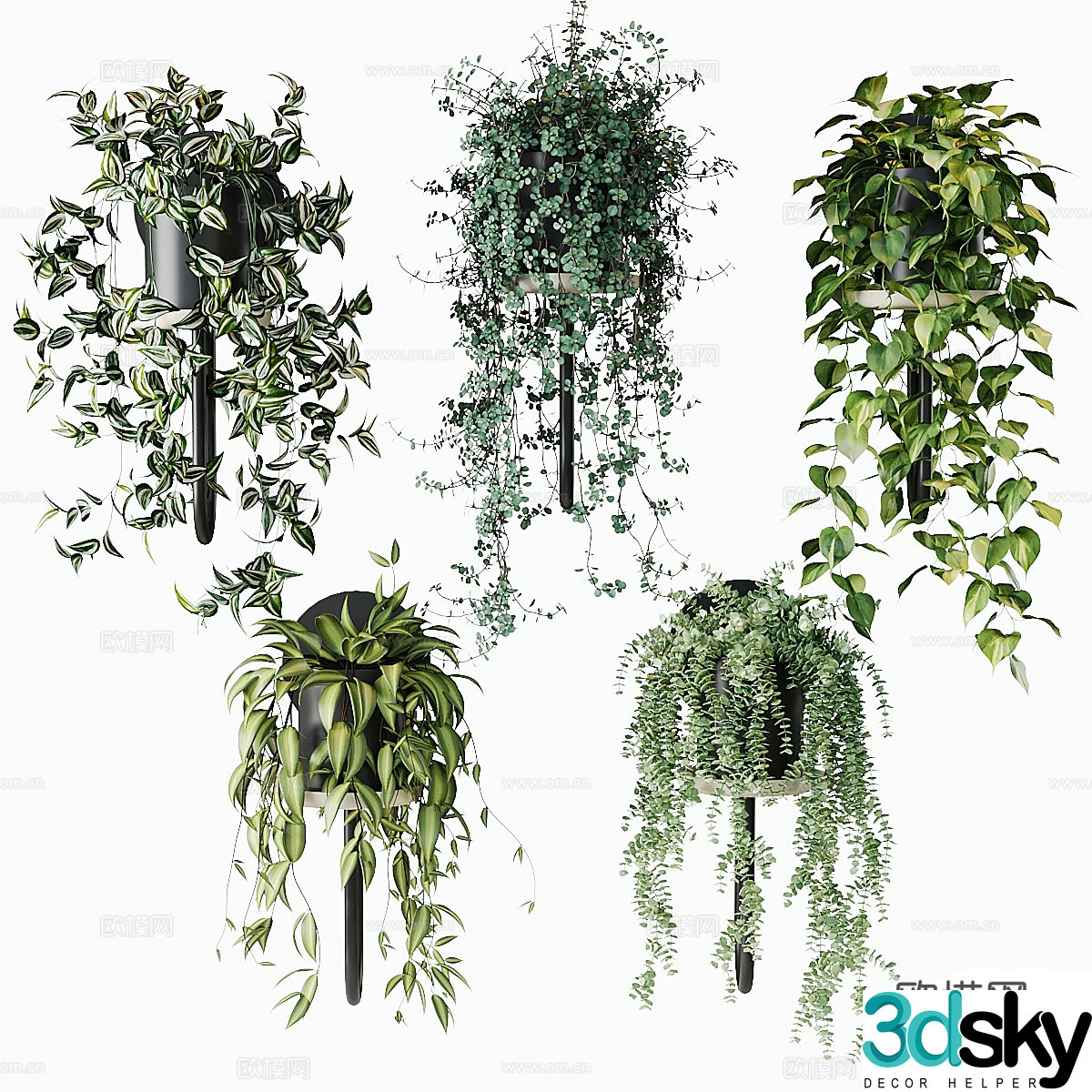 3D model of hanging basket