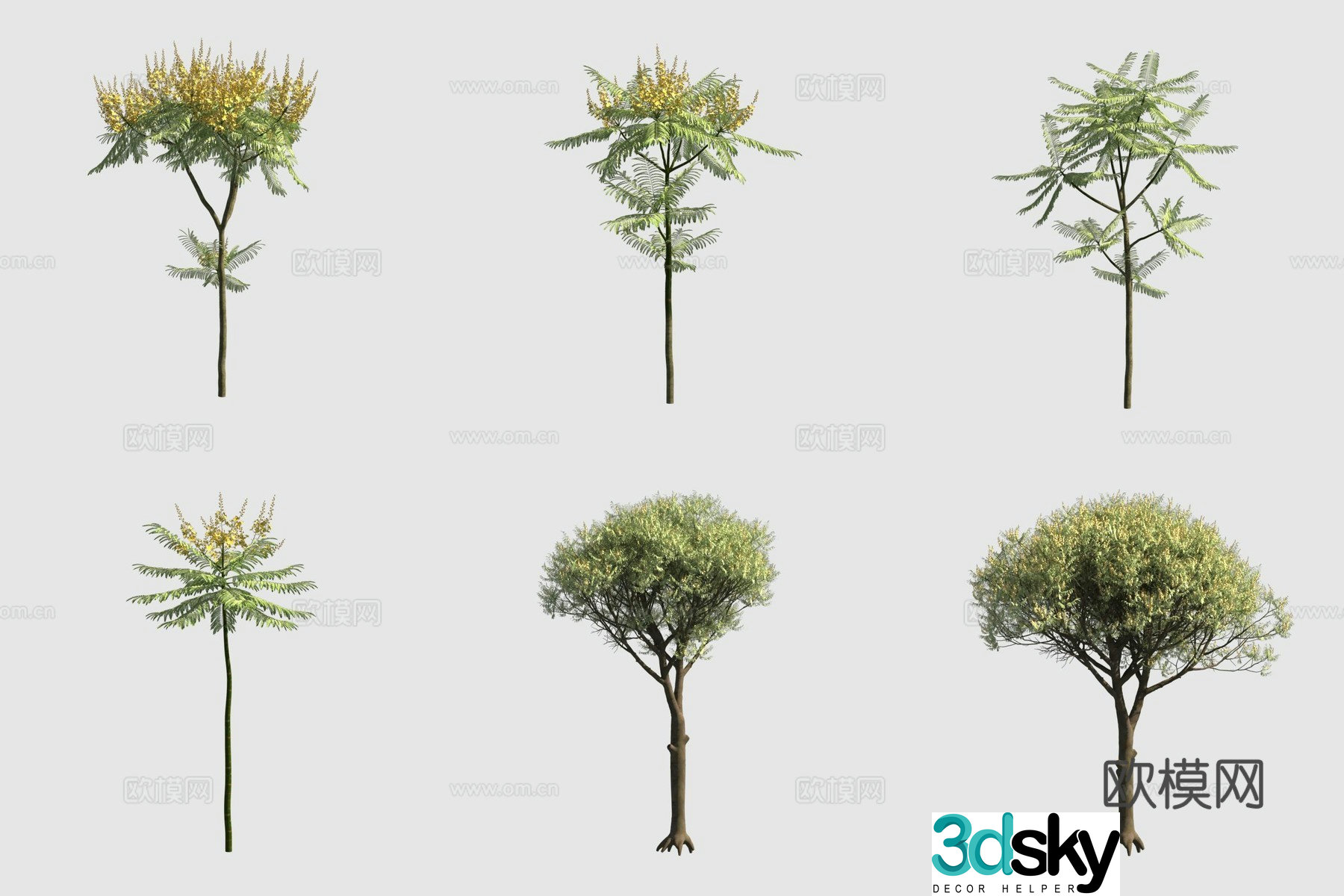 3D model of sticky leaf beans with pods to catch mosquito tree street