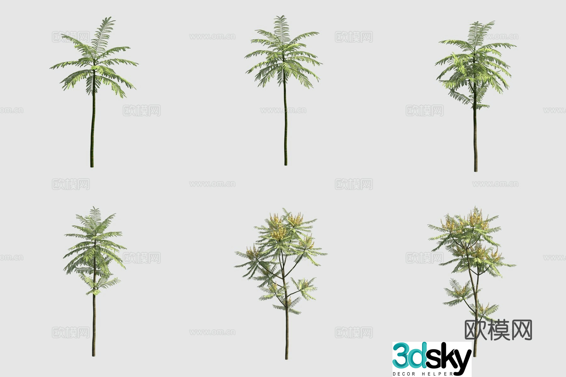 3D model of sticky leaf beans with pods to catch mosquito tree street
