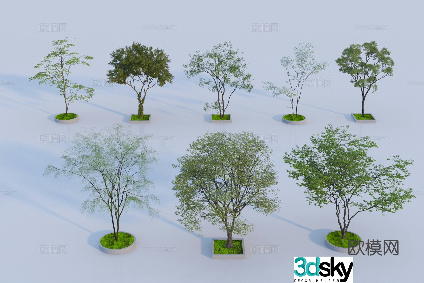 Modern landscape tree 3d model