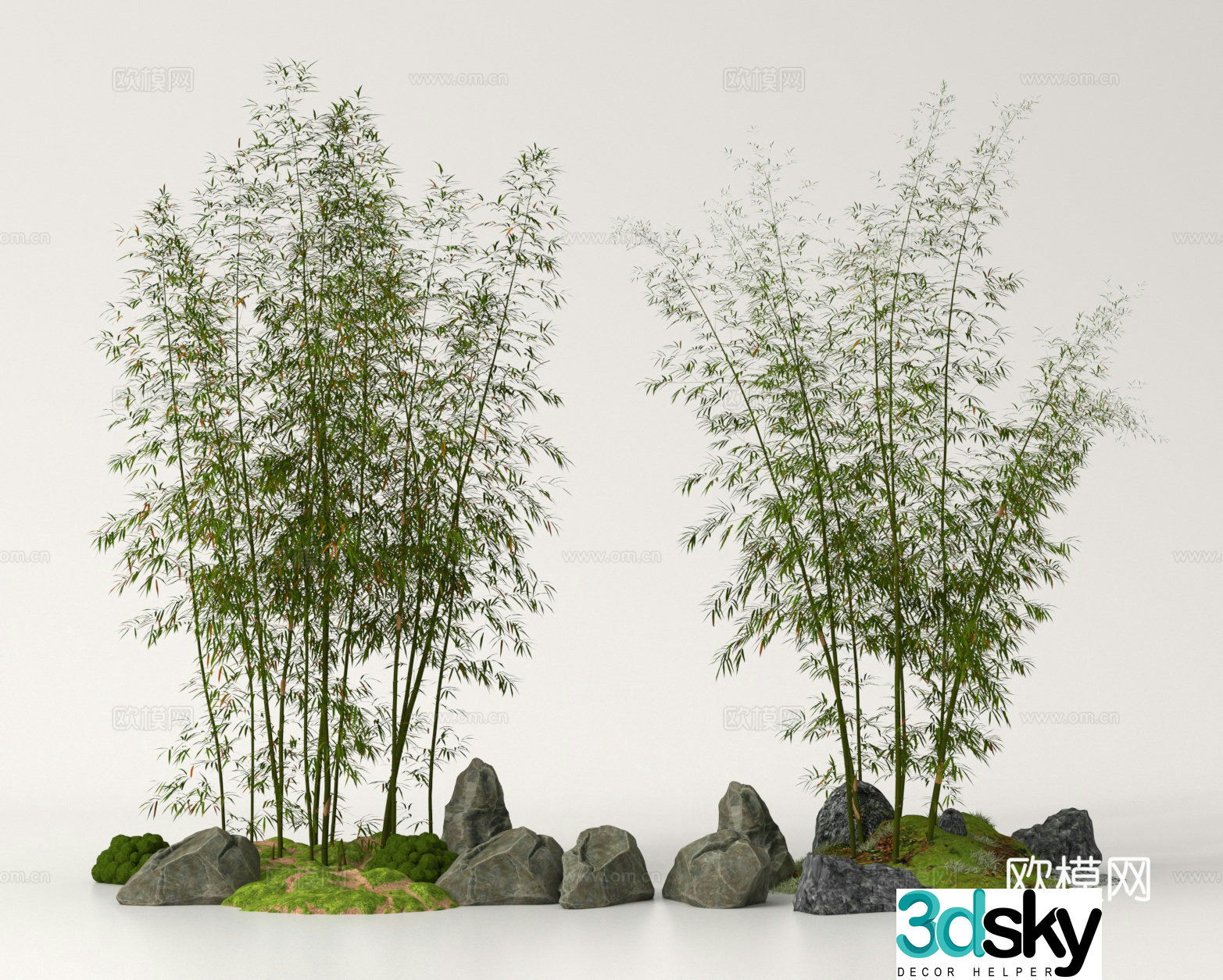 Bamboo Bamboo Forest Landscape Bamboo Garden Bamboo 3D Model