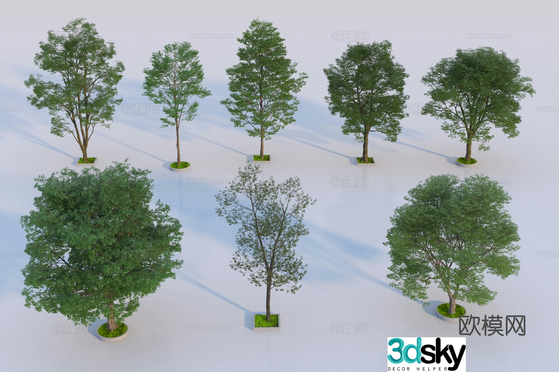 Modern landscape tree 3d model