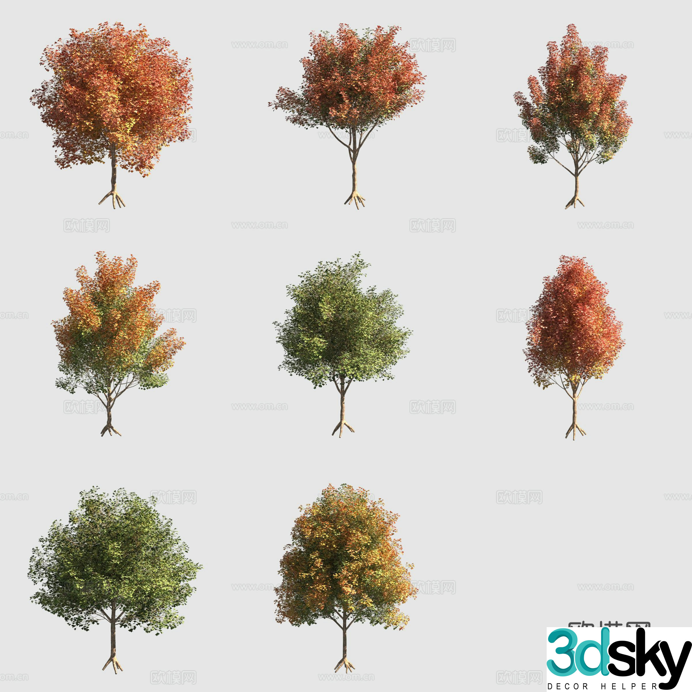 Triangular maple triangle maple autumn landscape tree 3d model