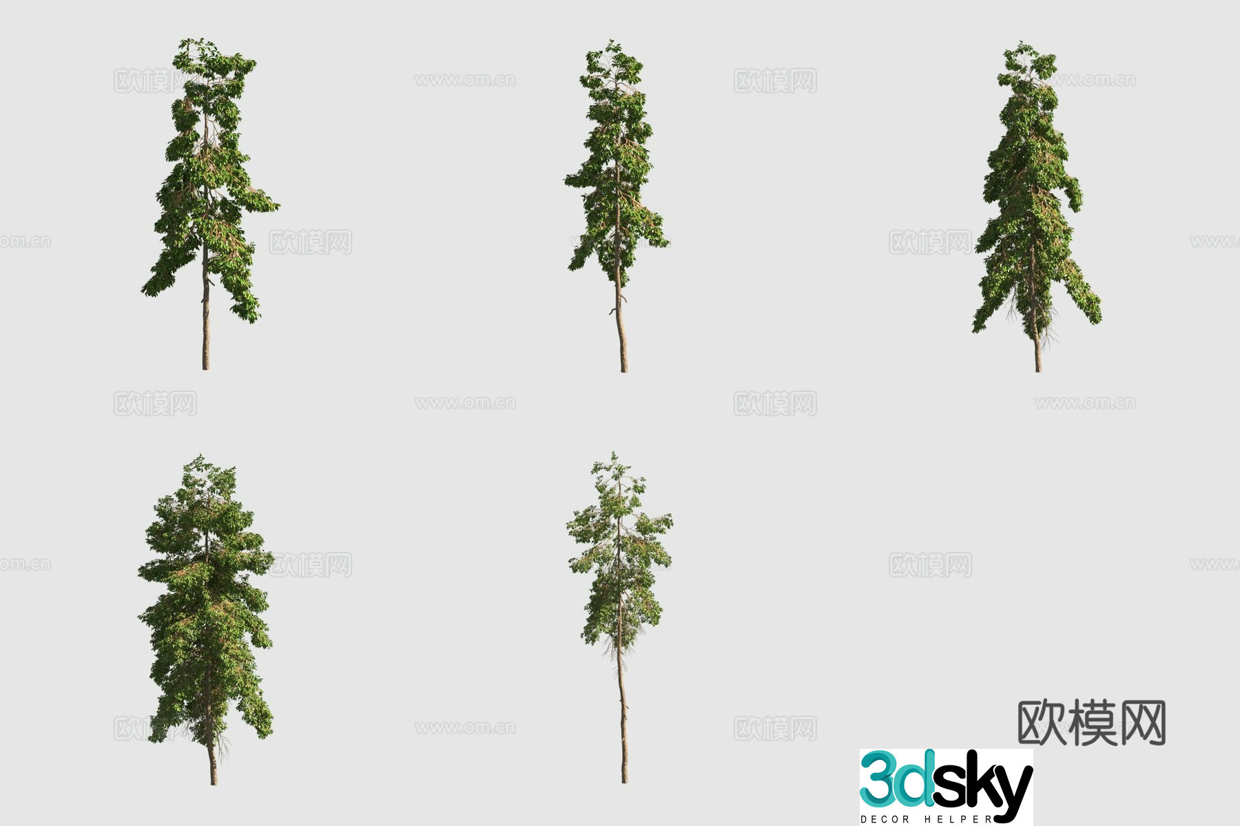 Bamboo tree red bamboo street tree 3d model