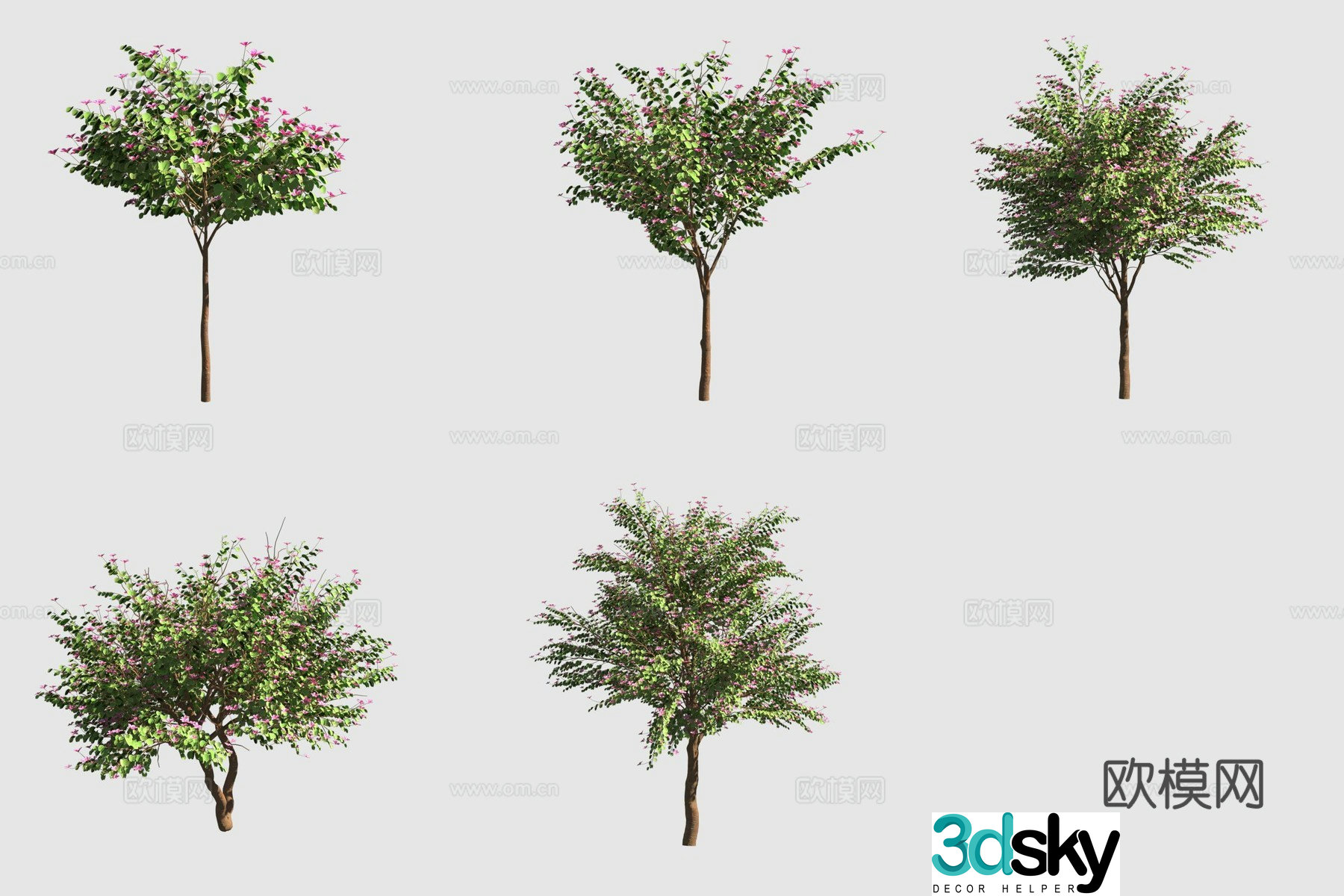 Purple Sheep Hoof Armor Street Tree 3D Model