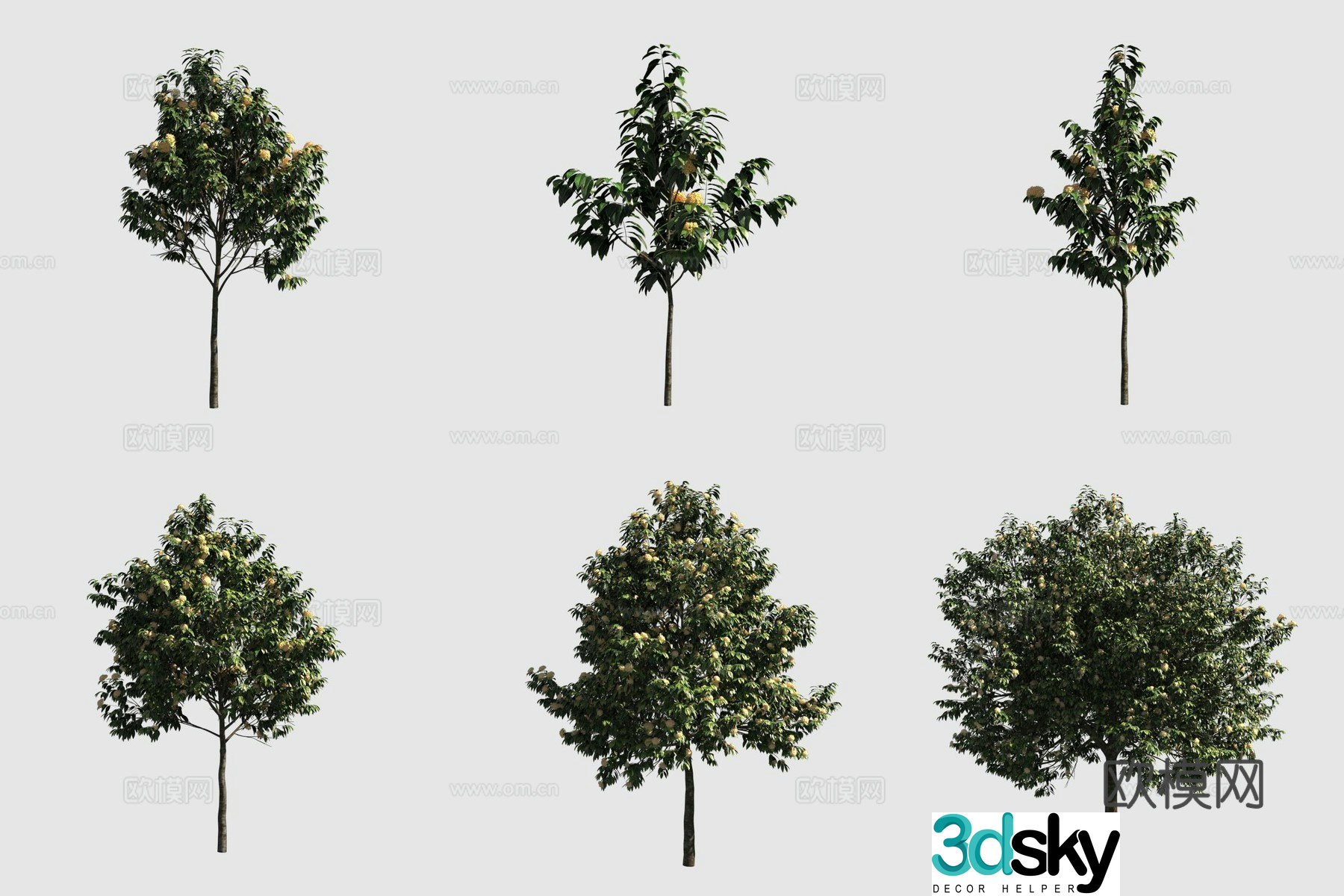 Worry-free flower Thailand Worry-free flower street tree 3d model