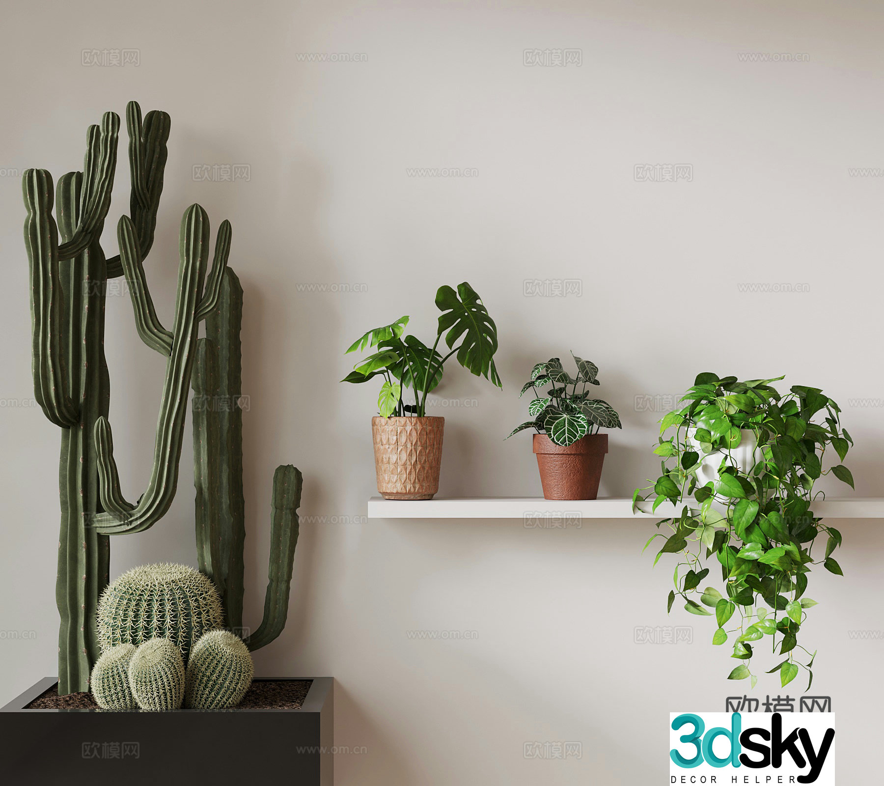 Modern desktop green plants cactus spider plant monstera 3d model