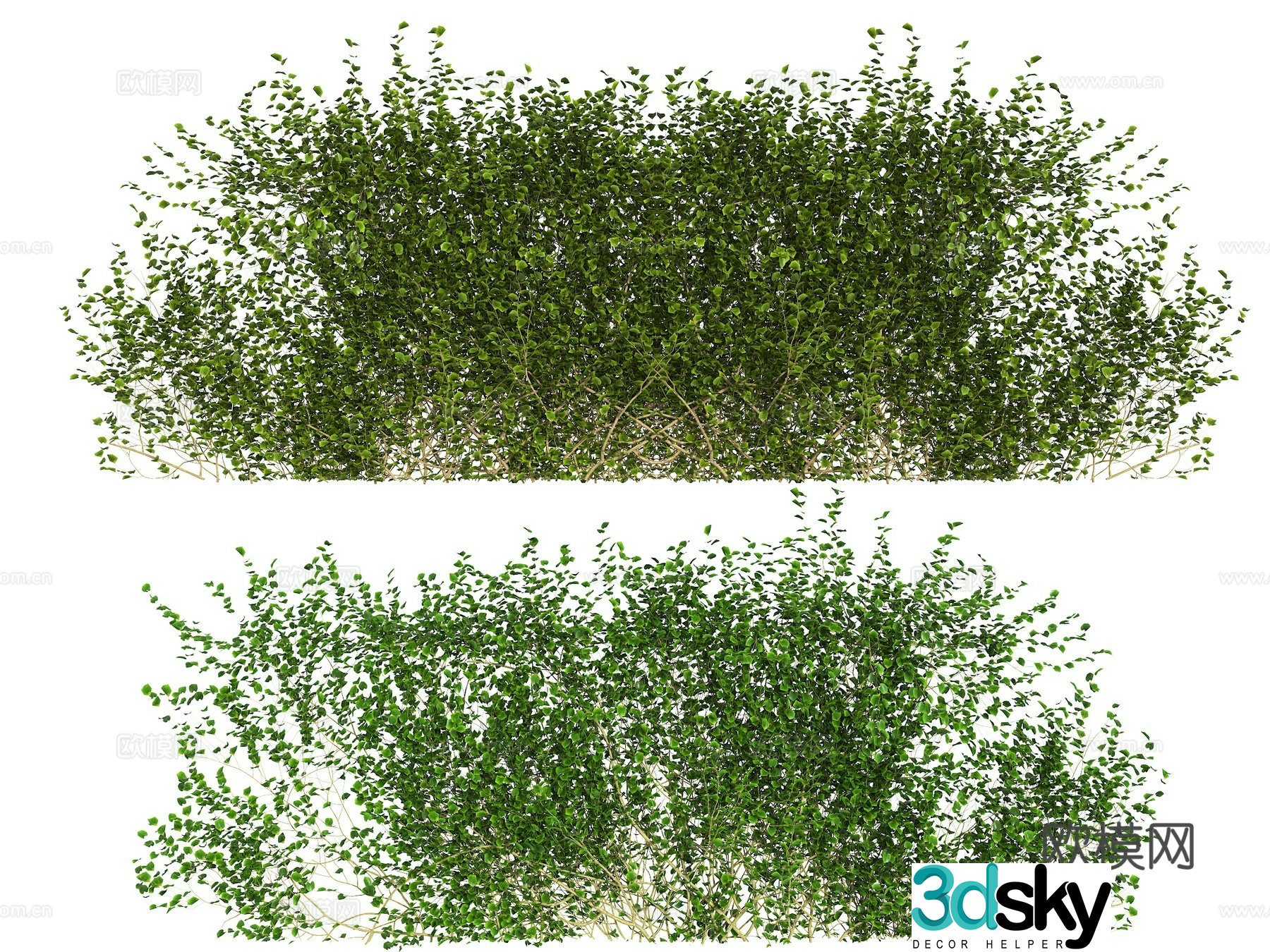 vine wall climbing plant vine wall climbing ivy ivy vine green plant 3d model