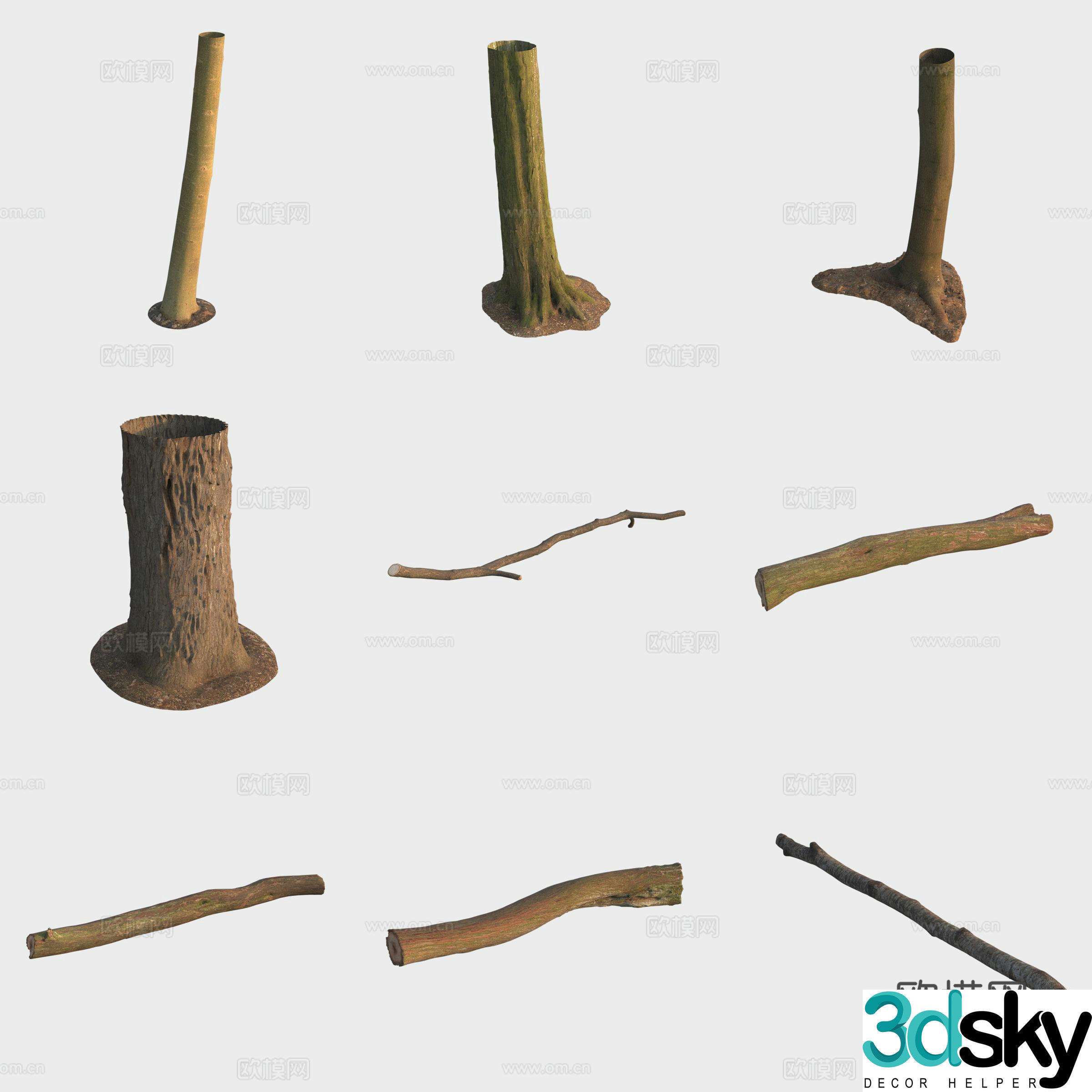 3d model of trunk branches stump