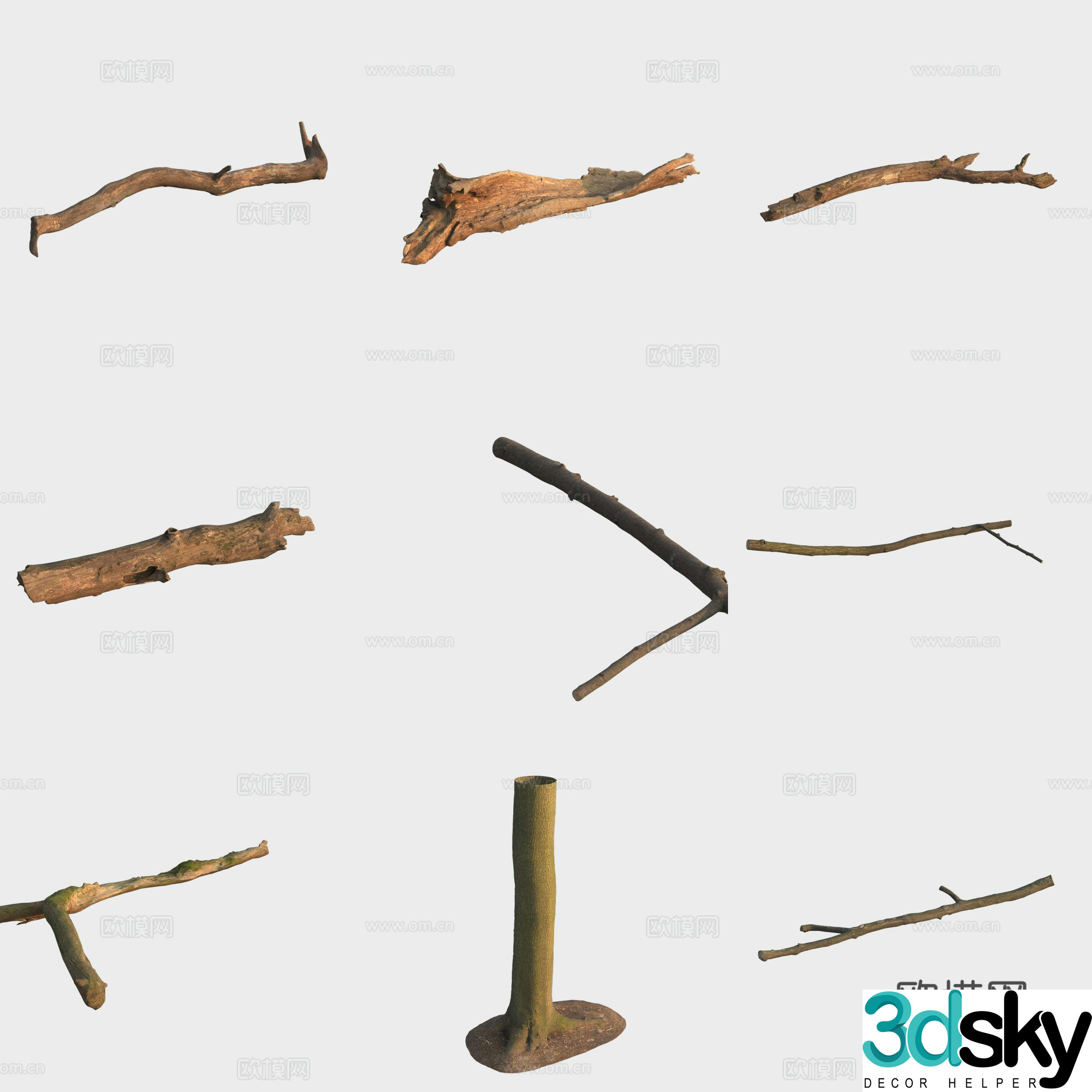 3d model of trunk branches stump