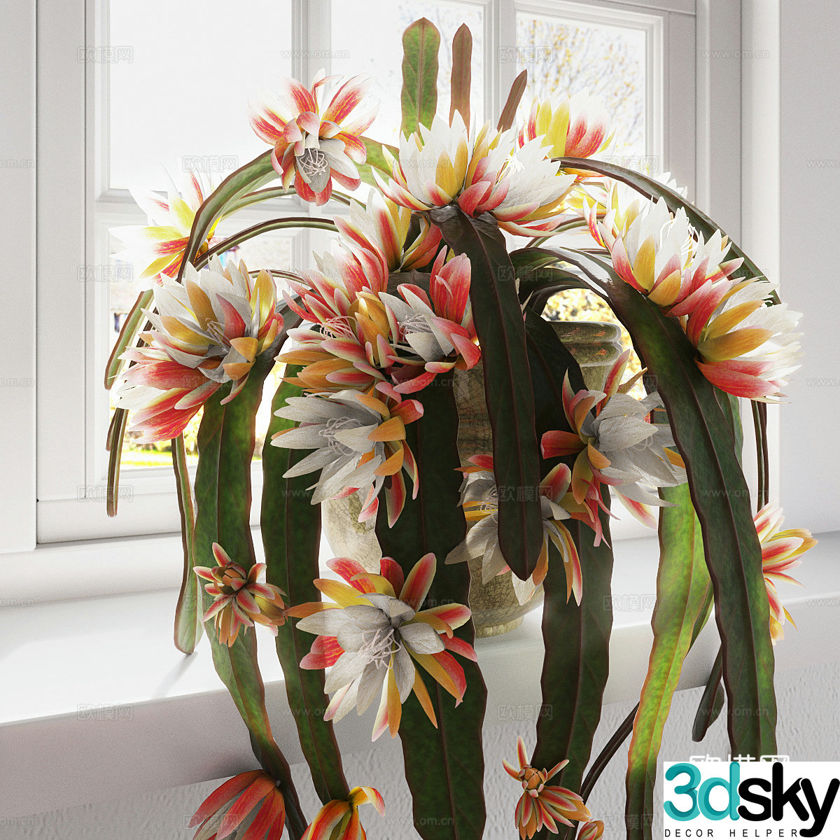 Epiphyllum 3d model