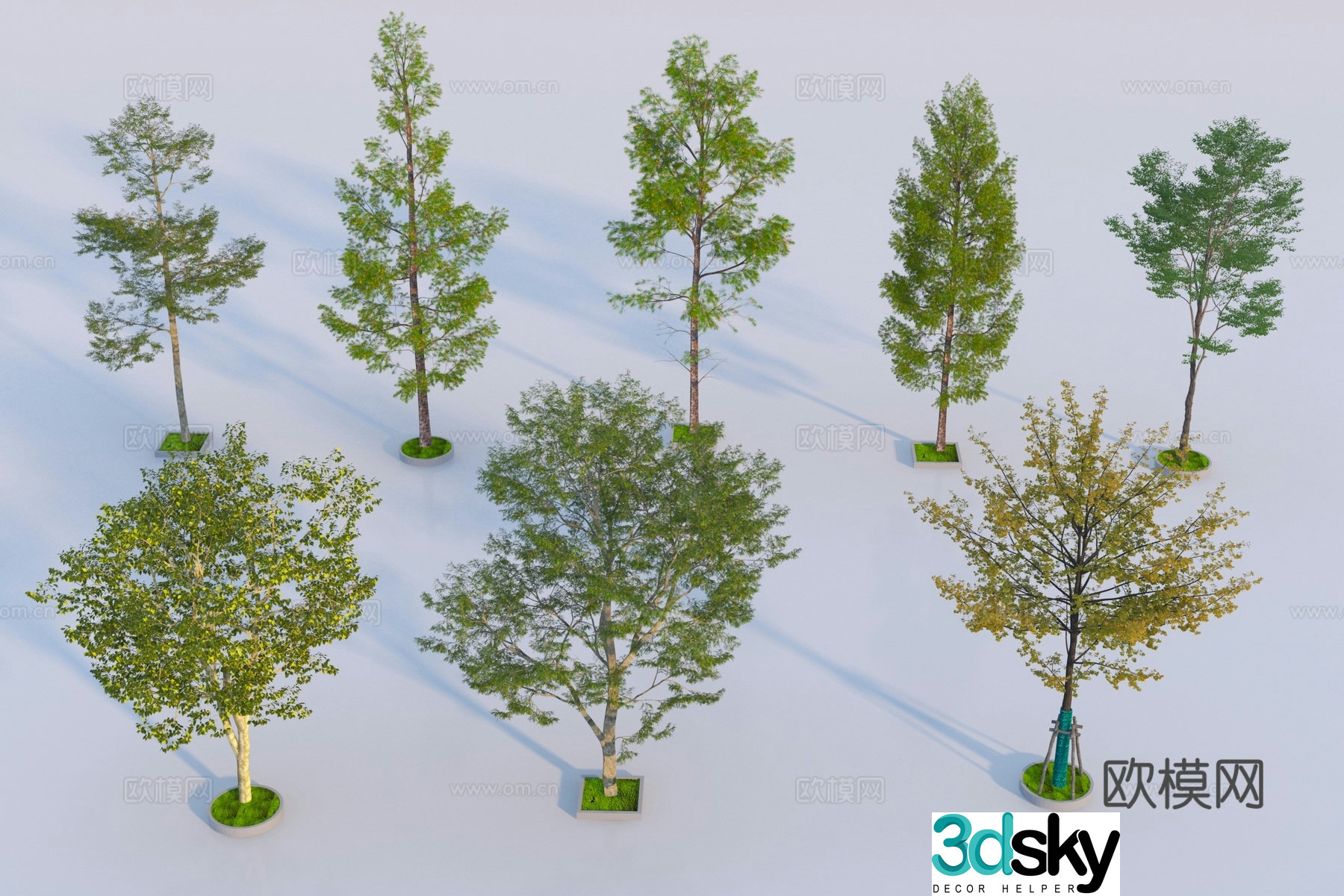 Modern landscape tree 3d model