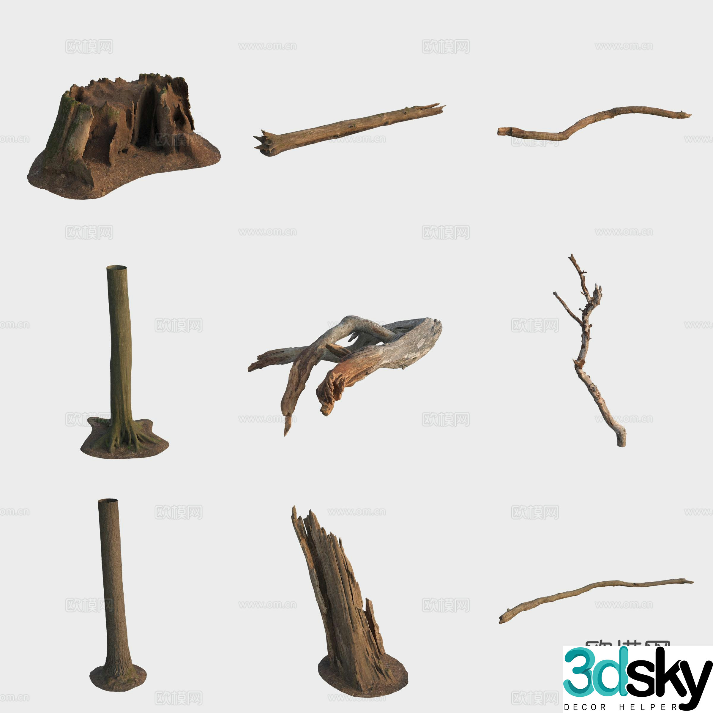 3d model of trunk branches stump