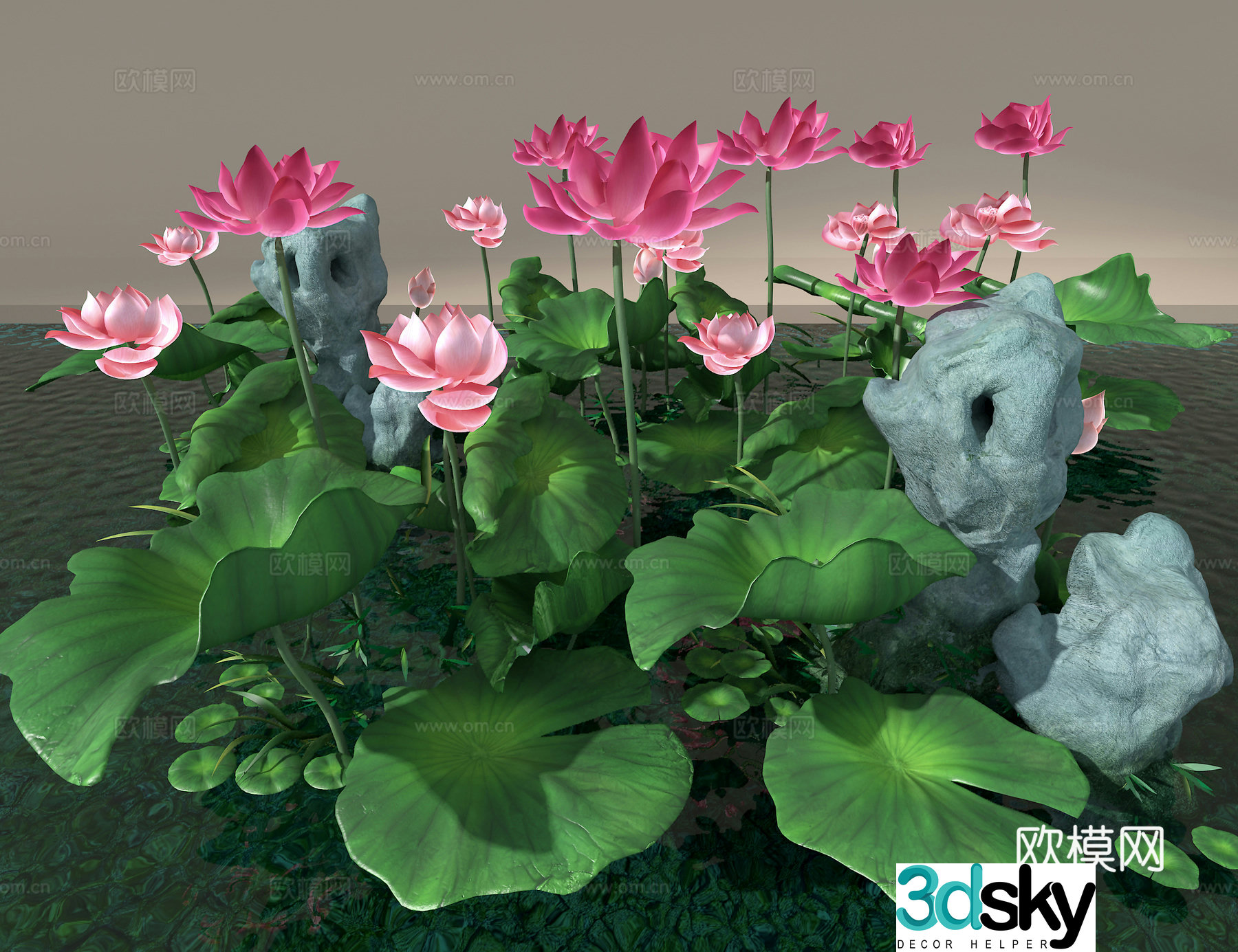 Lotus 3d model