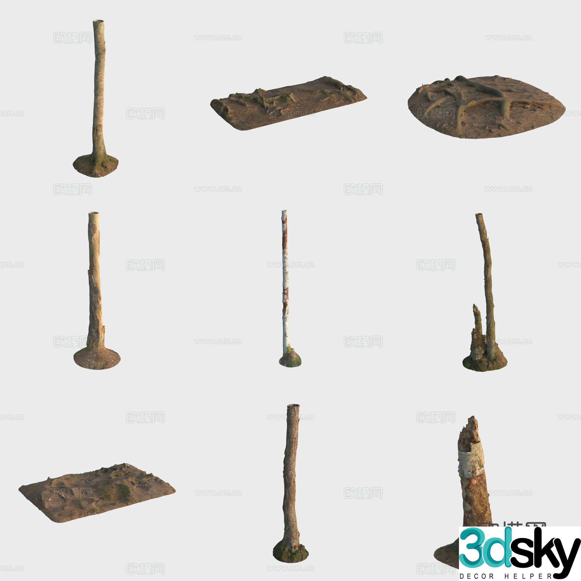 3d model of trunk branches stump