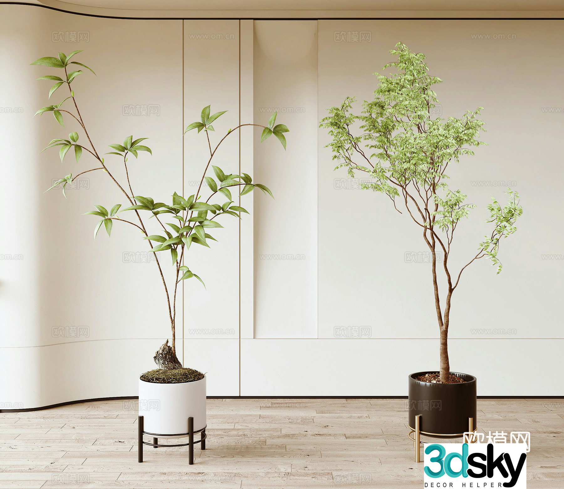 Modern green plants 3d model
