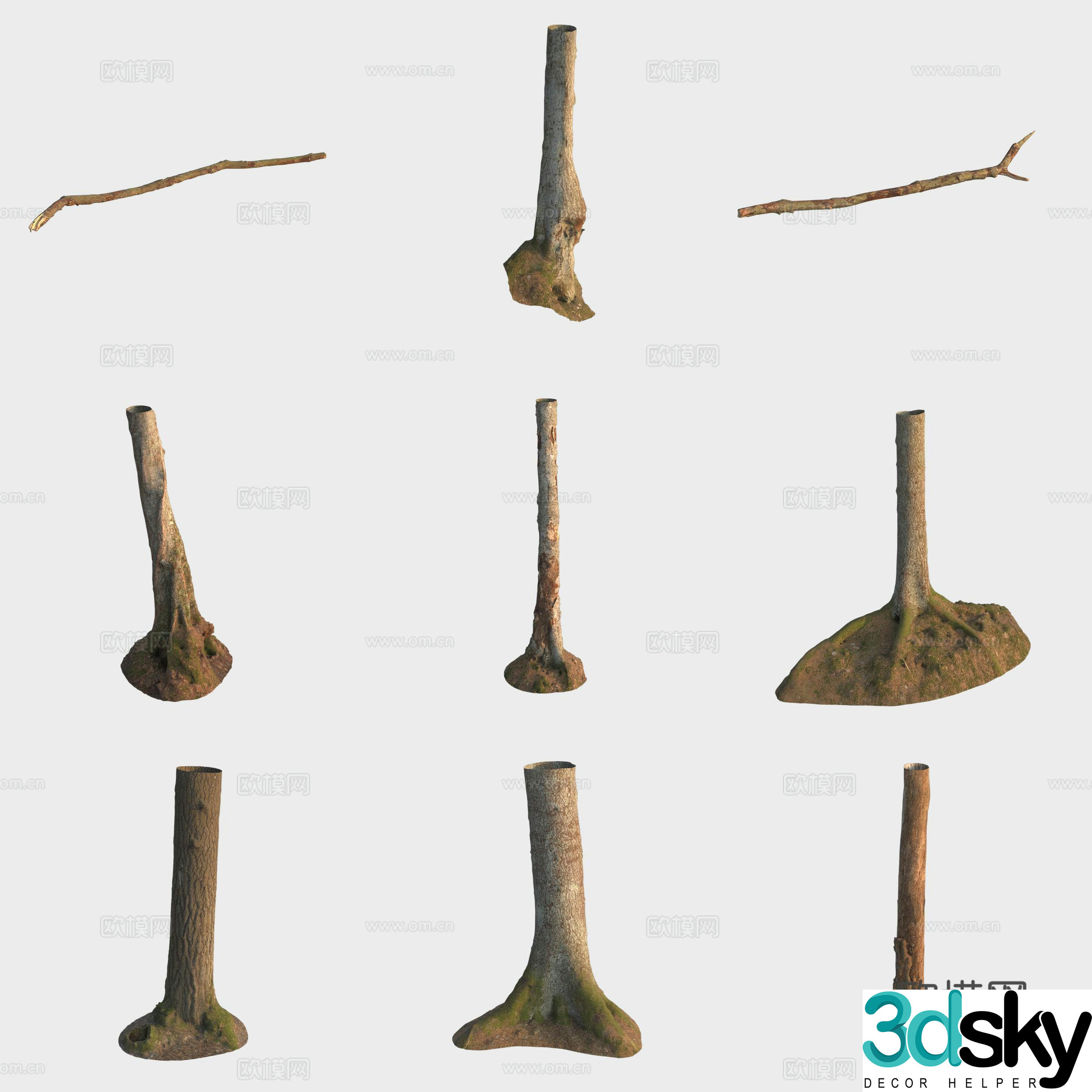 3d model of trunk branches stump