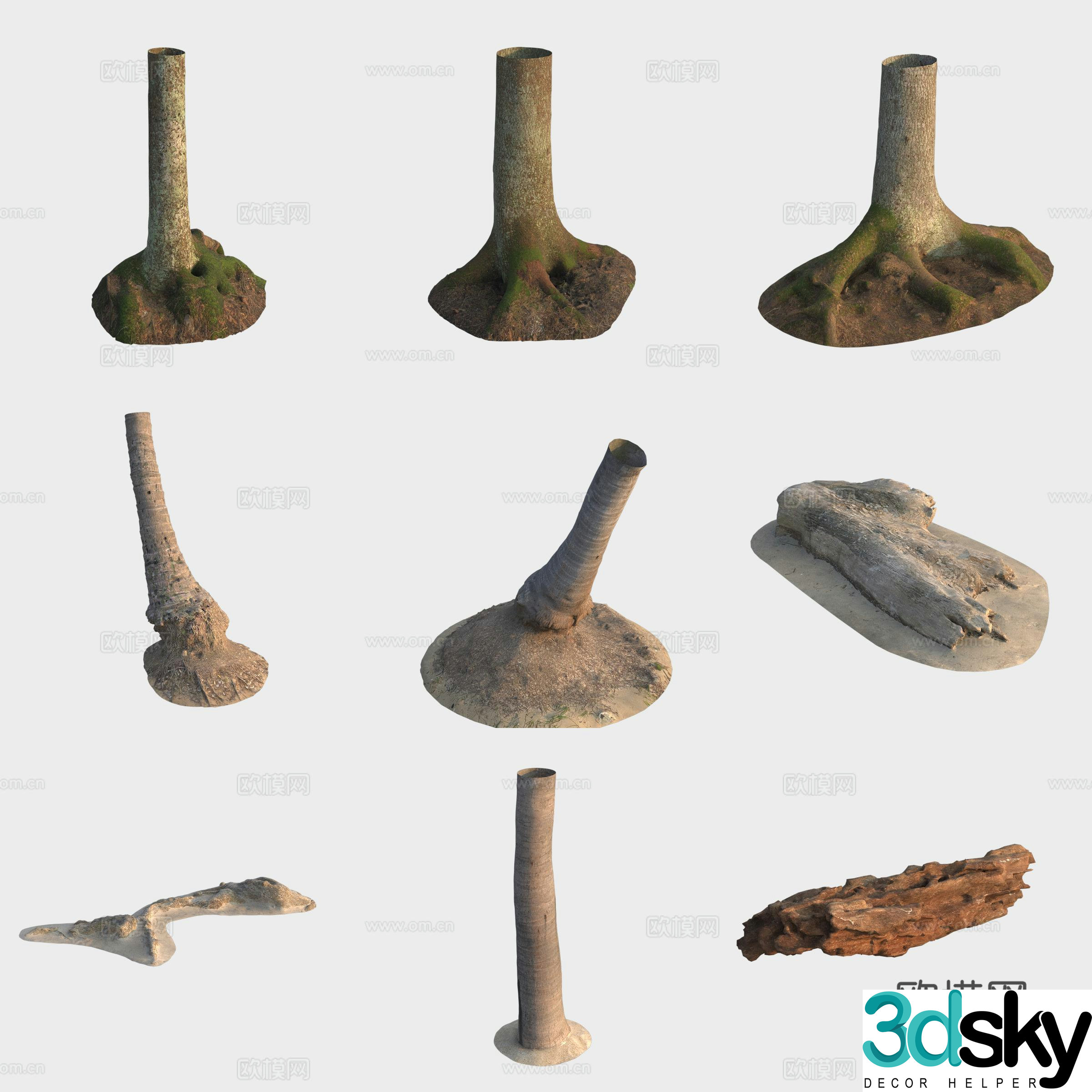 3d model of trunk branches stump