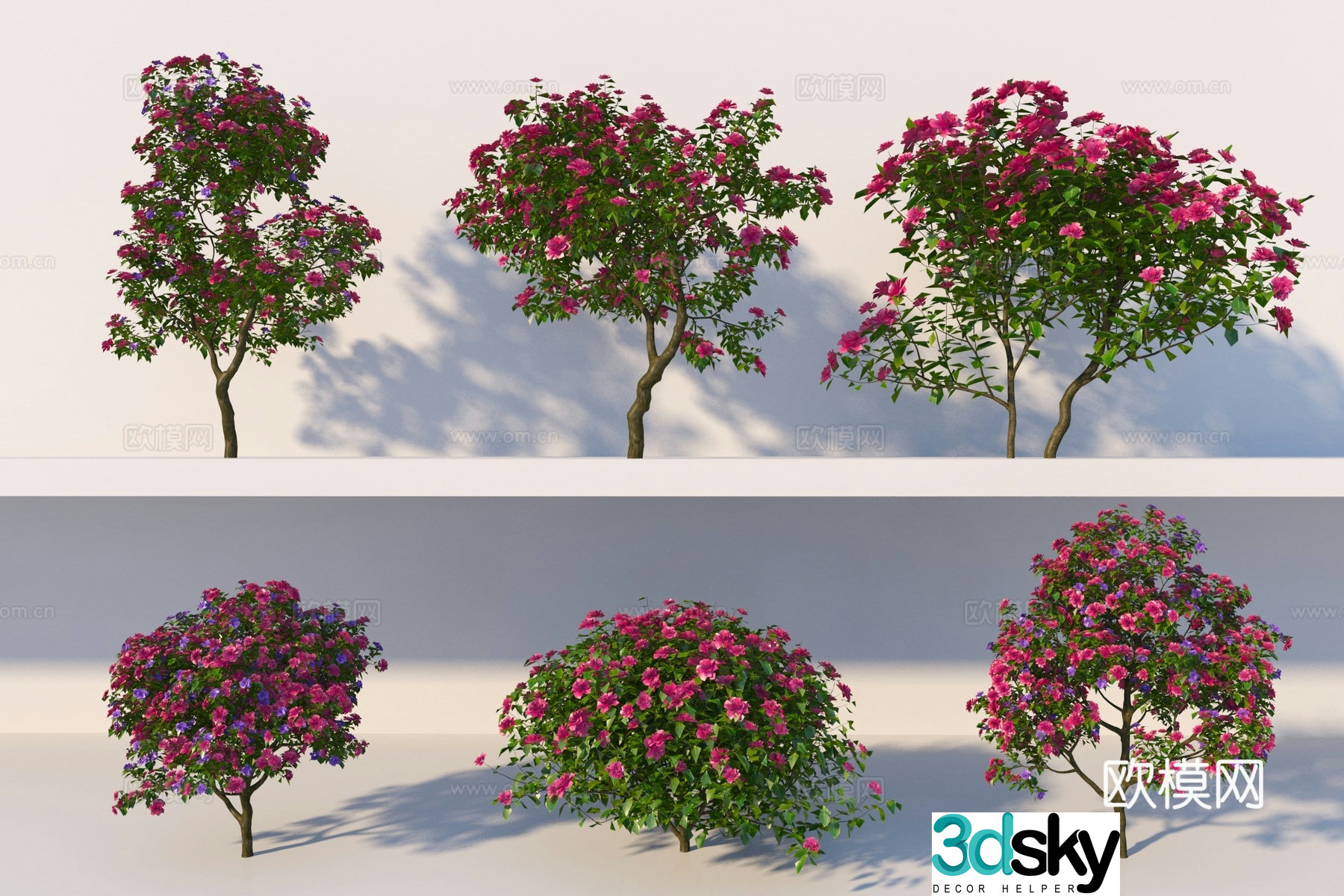 Modern bougainvillea bush 3d model