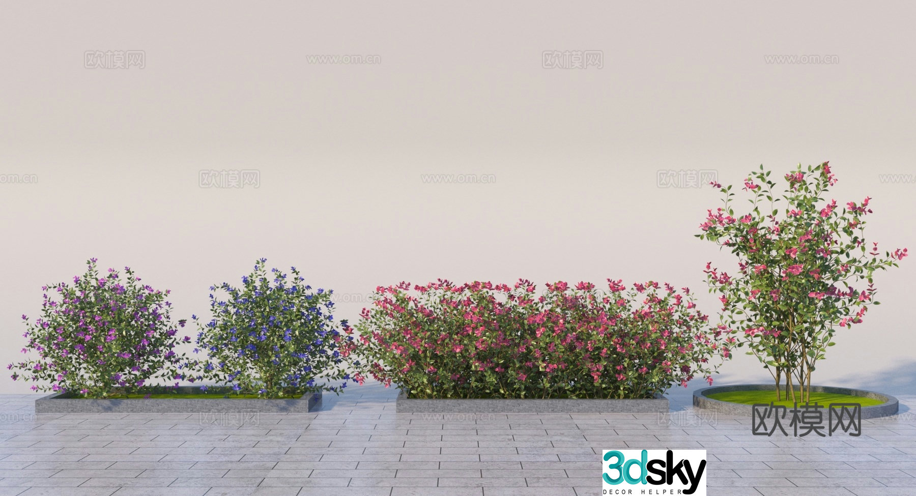 Modern bougainvillea bush 3d model